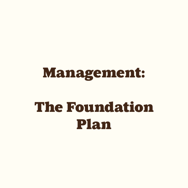 Management: The Foundation Plan