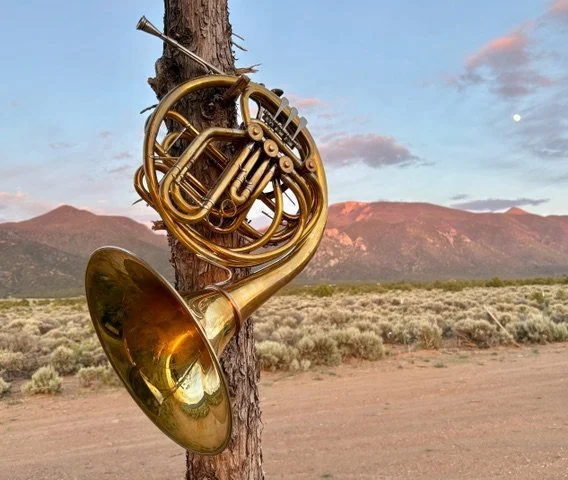A French horn mounted in a tree trunk in a desert landscape at sunset with mountains in the background.