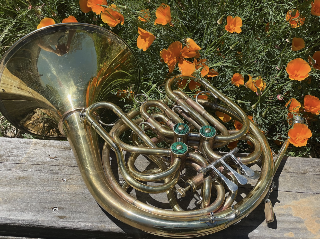 A brass French horn resting on a wooden surface next to orange flowers in green foliage.