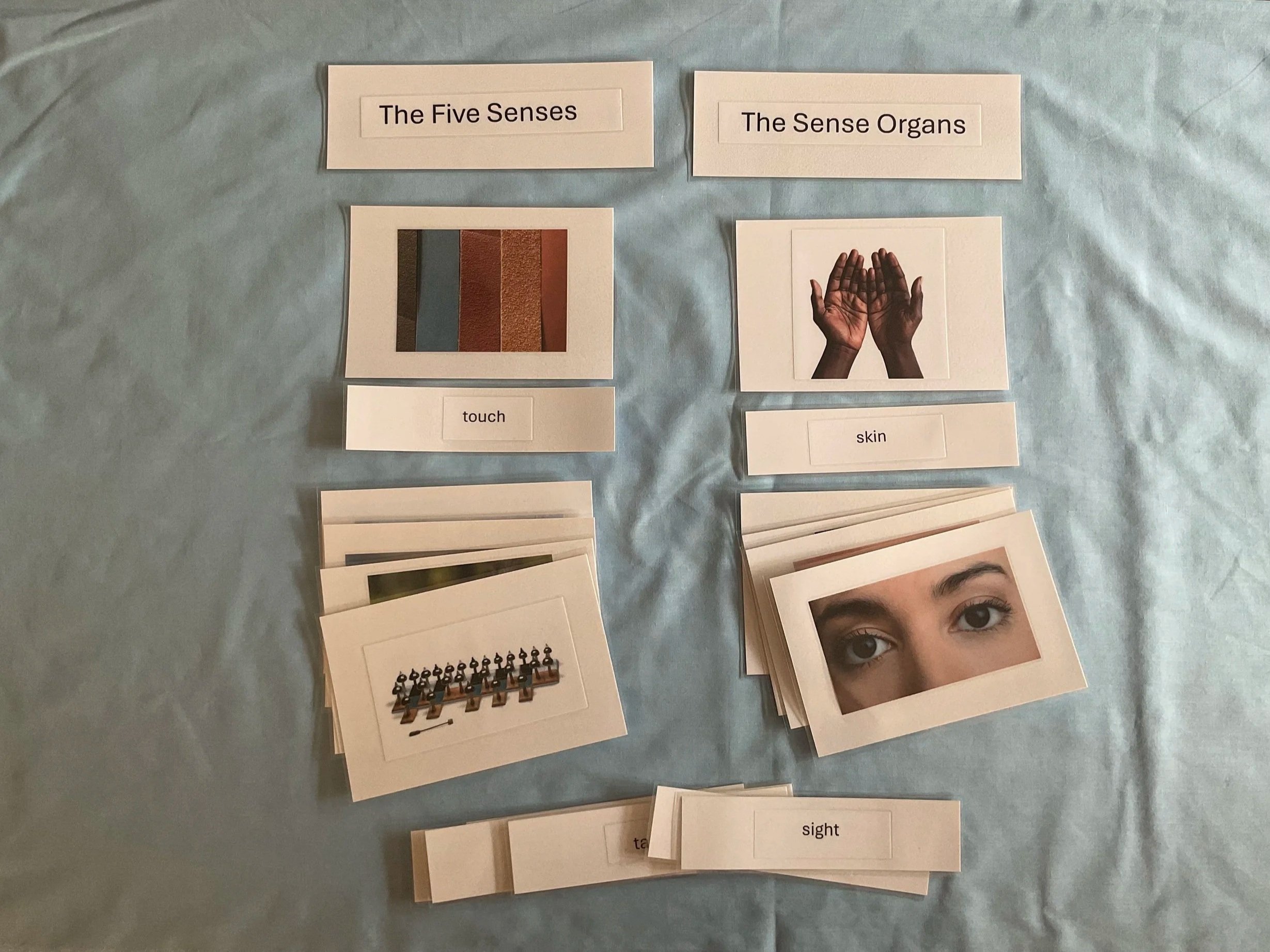 The+Five+Senses.jpg