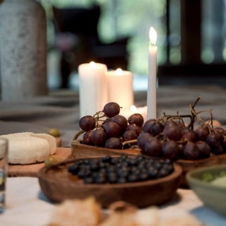 TASTE OF TERROIR