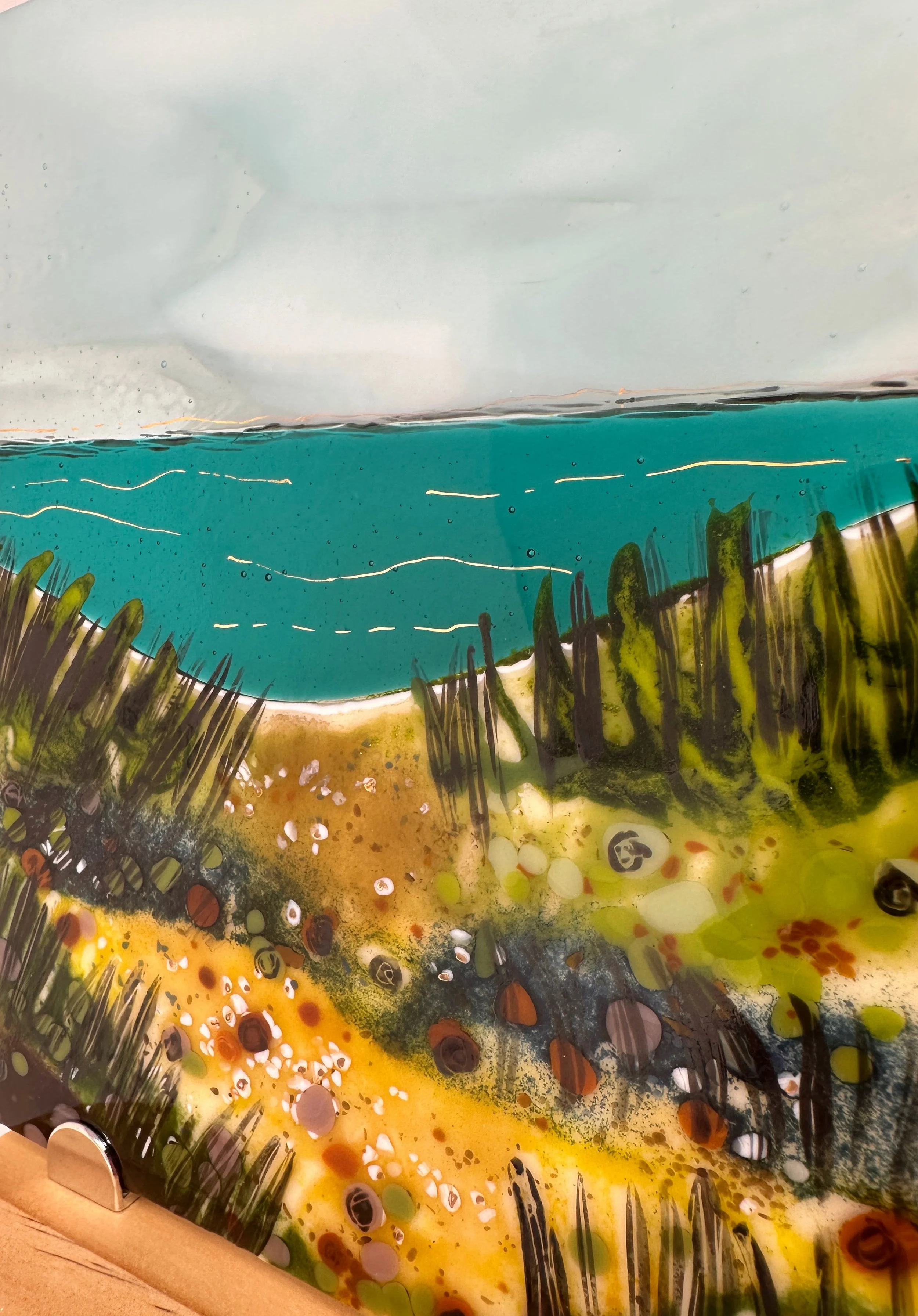 seagrasses 3.JPG