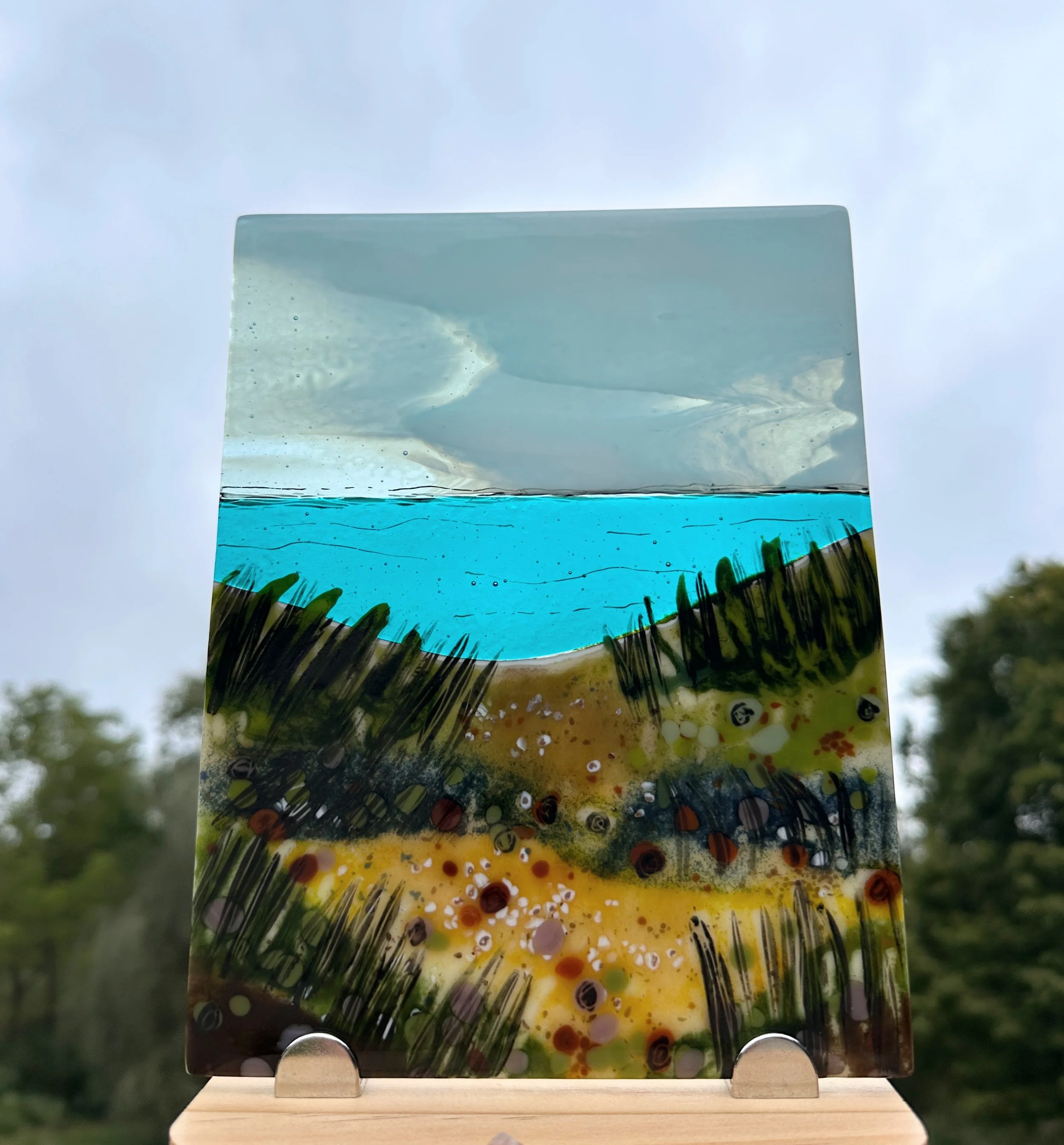 seagrasses 5.JPG