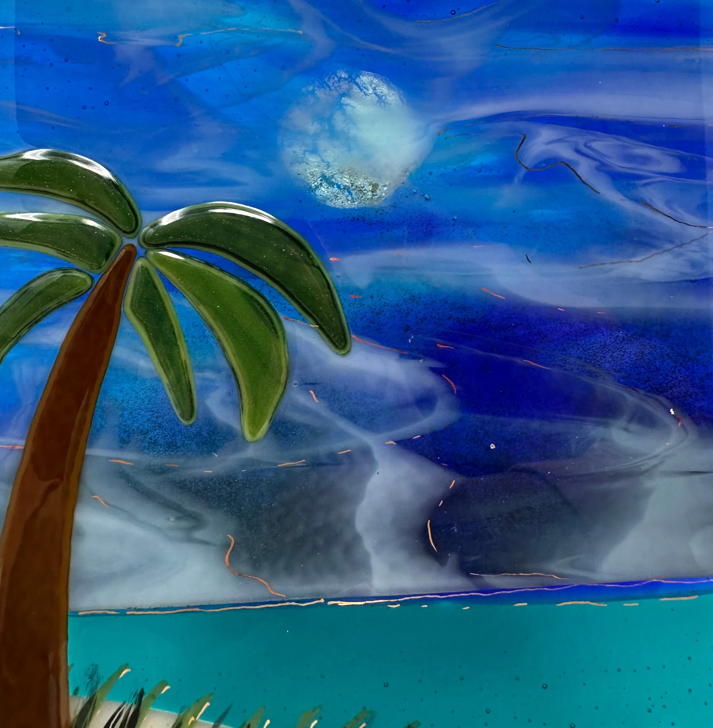 moonlit palm1.JPG