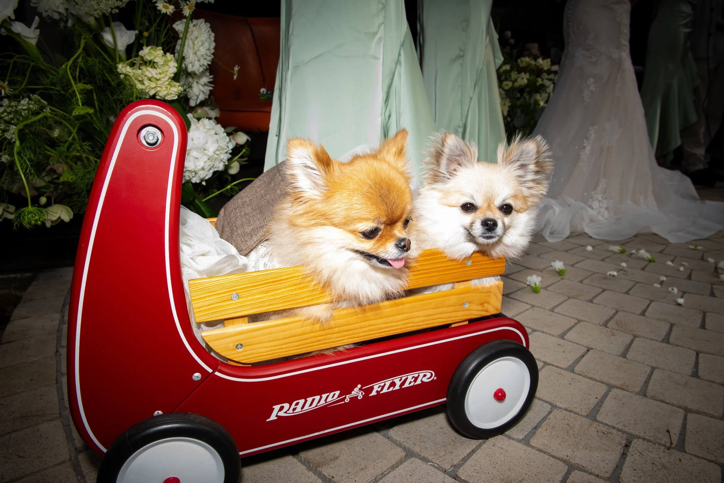AndresMikuWedding2025-140.jpg