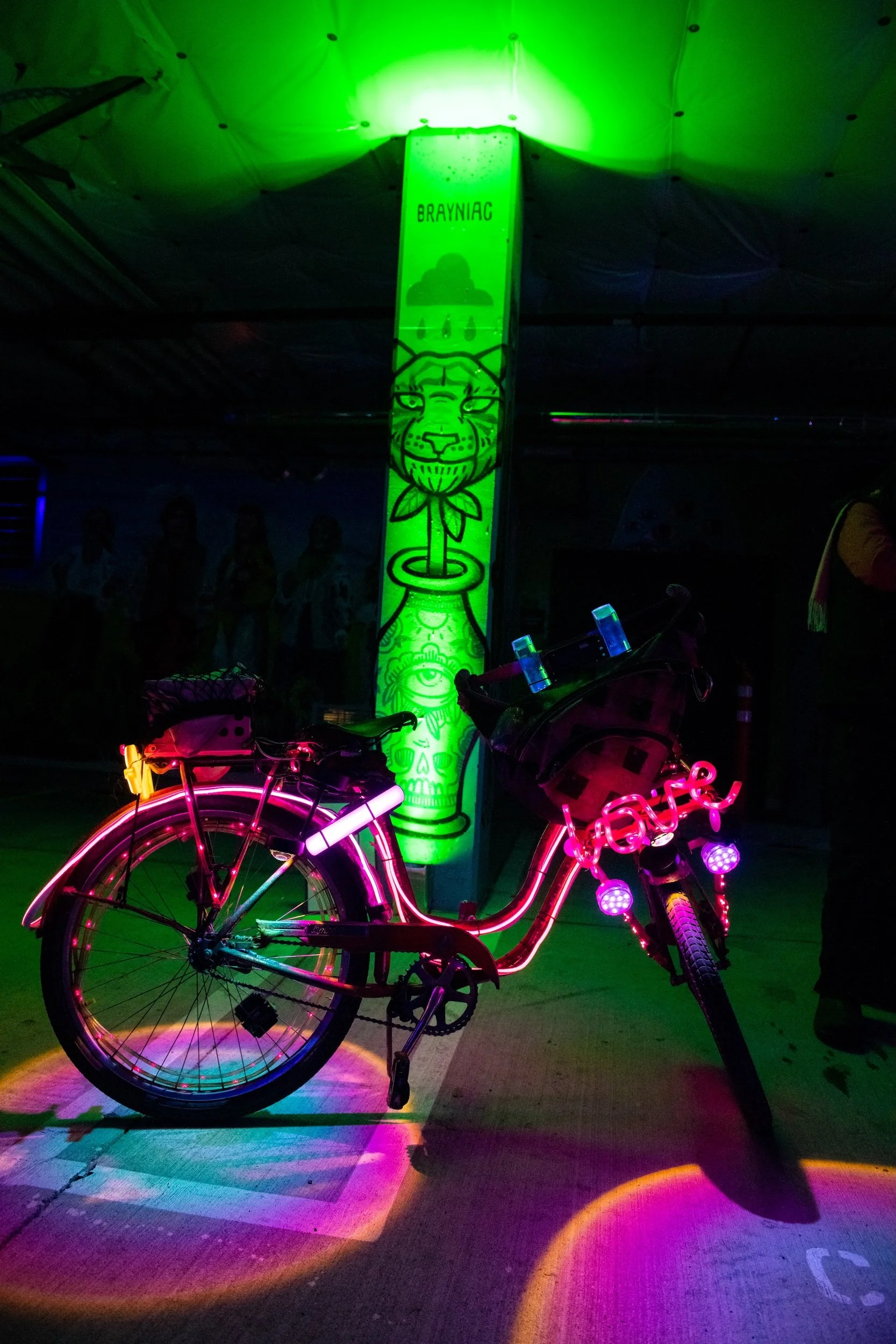 EB_DylanEvanston-119.jpg