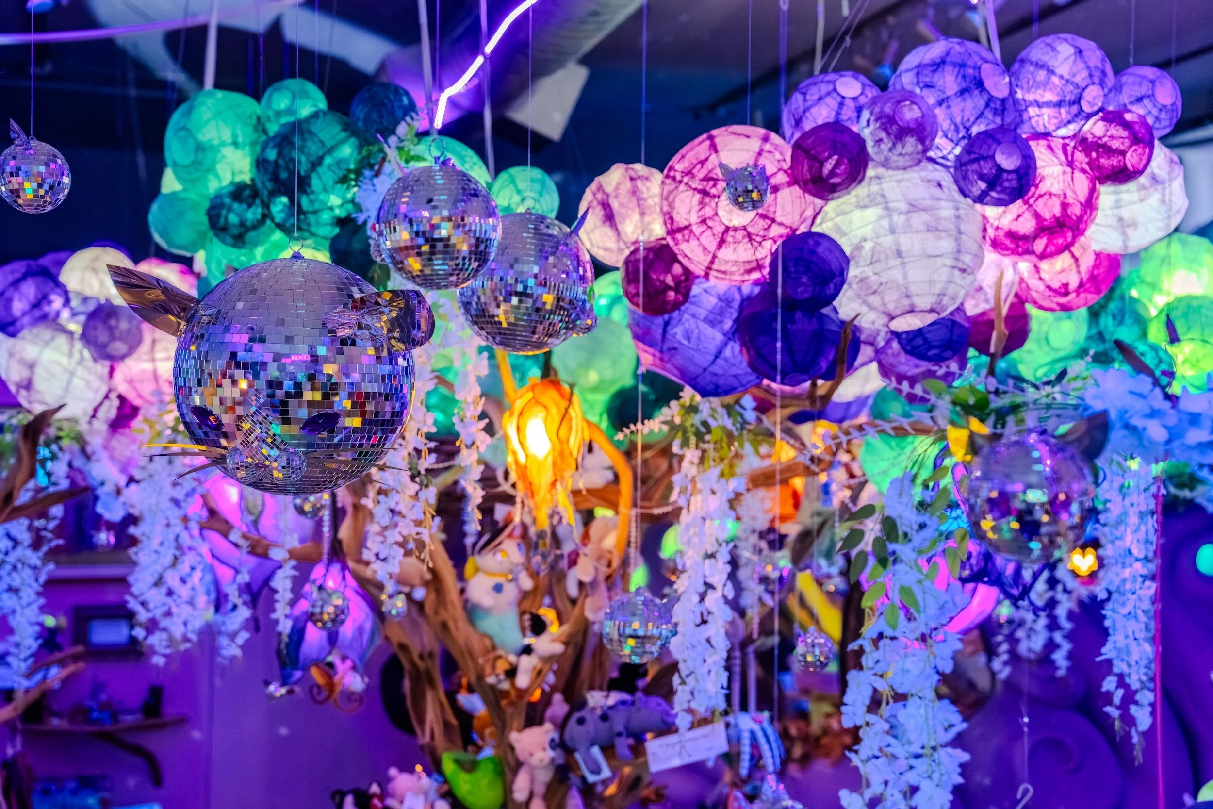 NNE-photoby-DylanEvanston-GiftyKitty-11.jpg