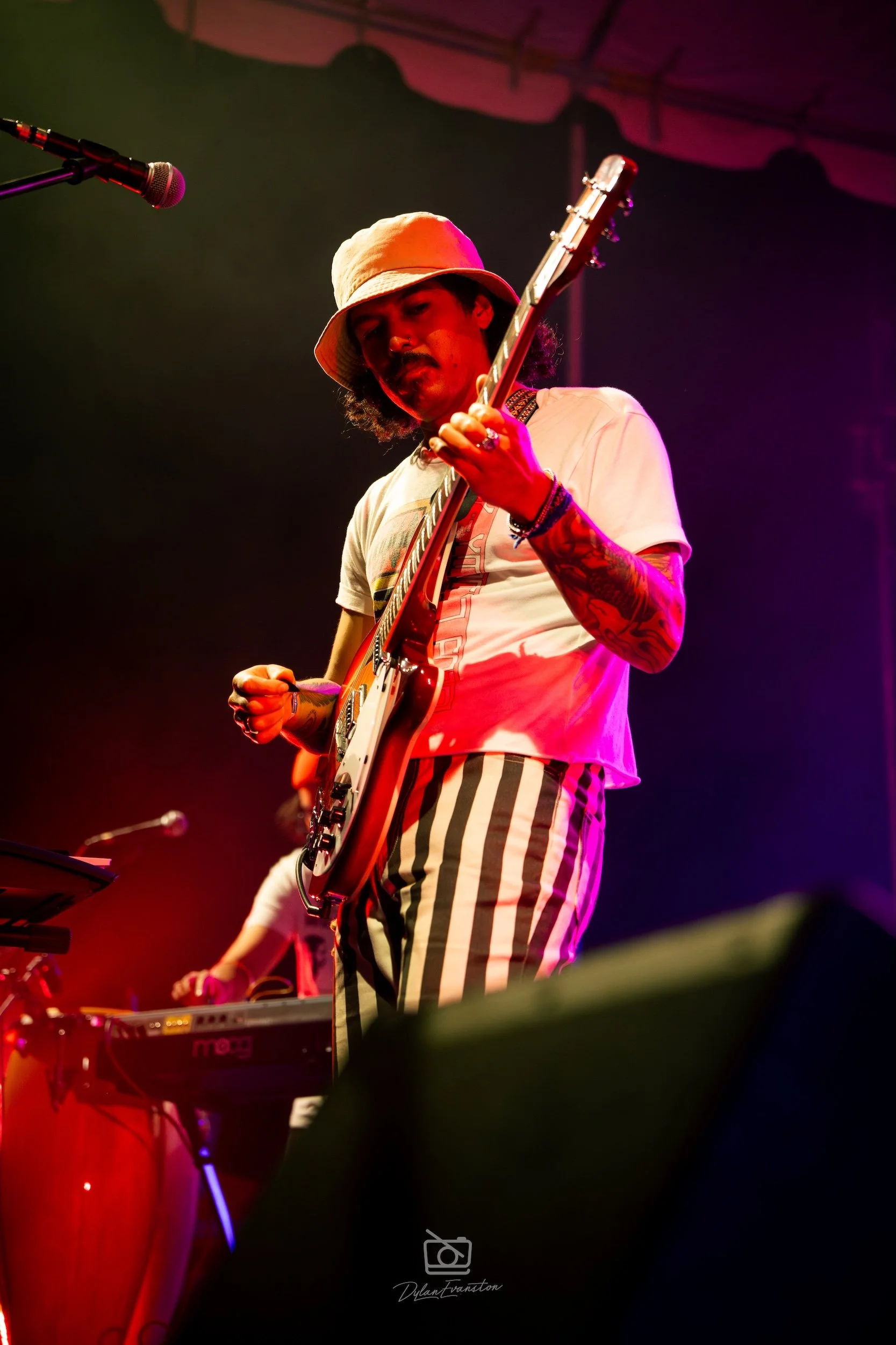 ShadyPines2025-399.jpg