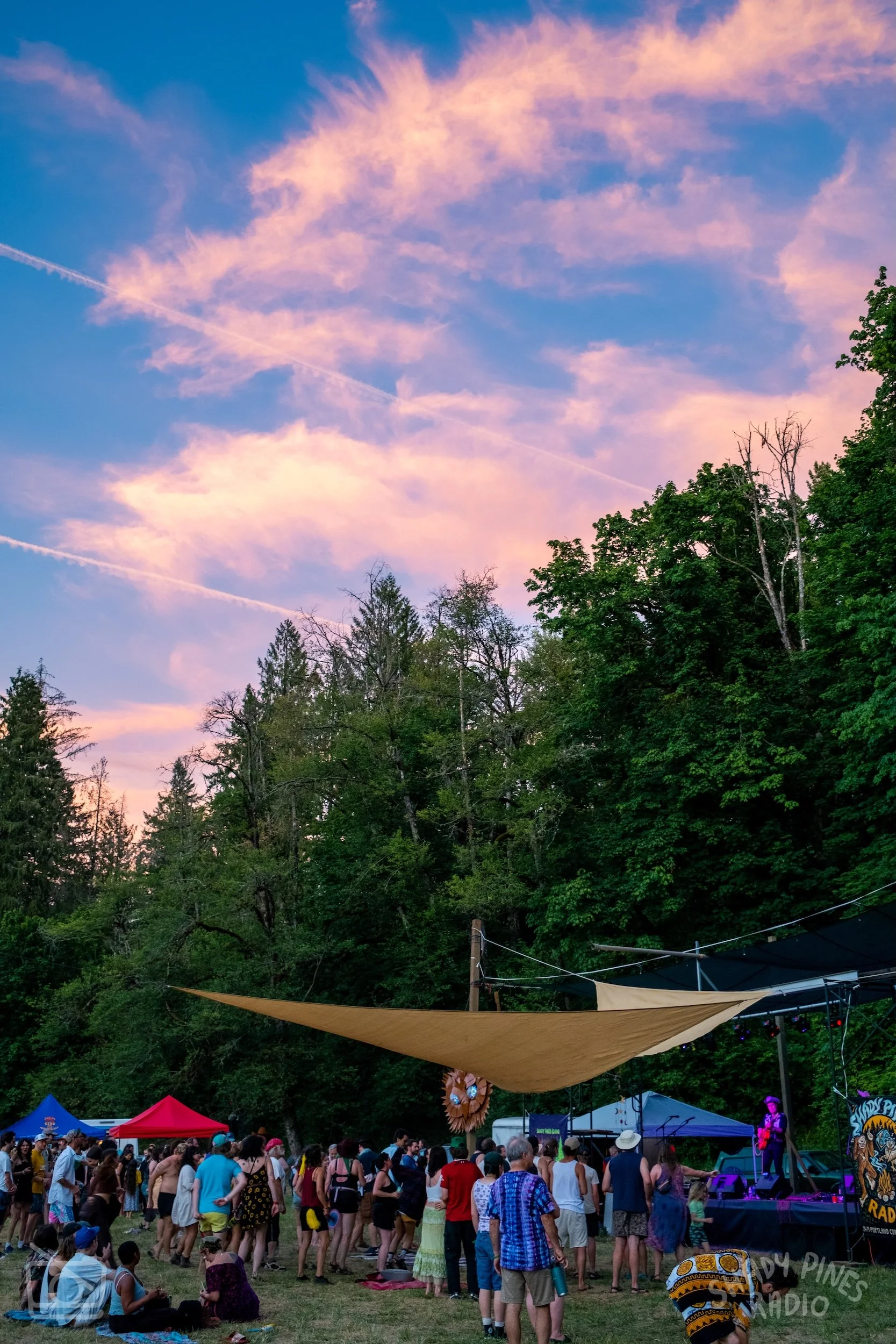 ShadyPines-187.jpg