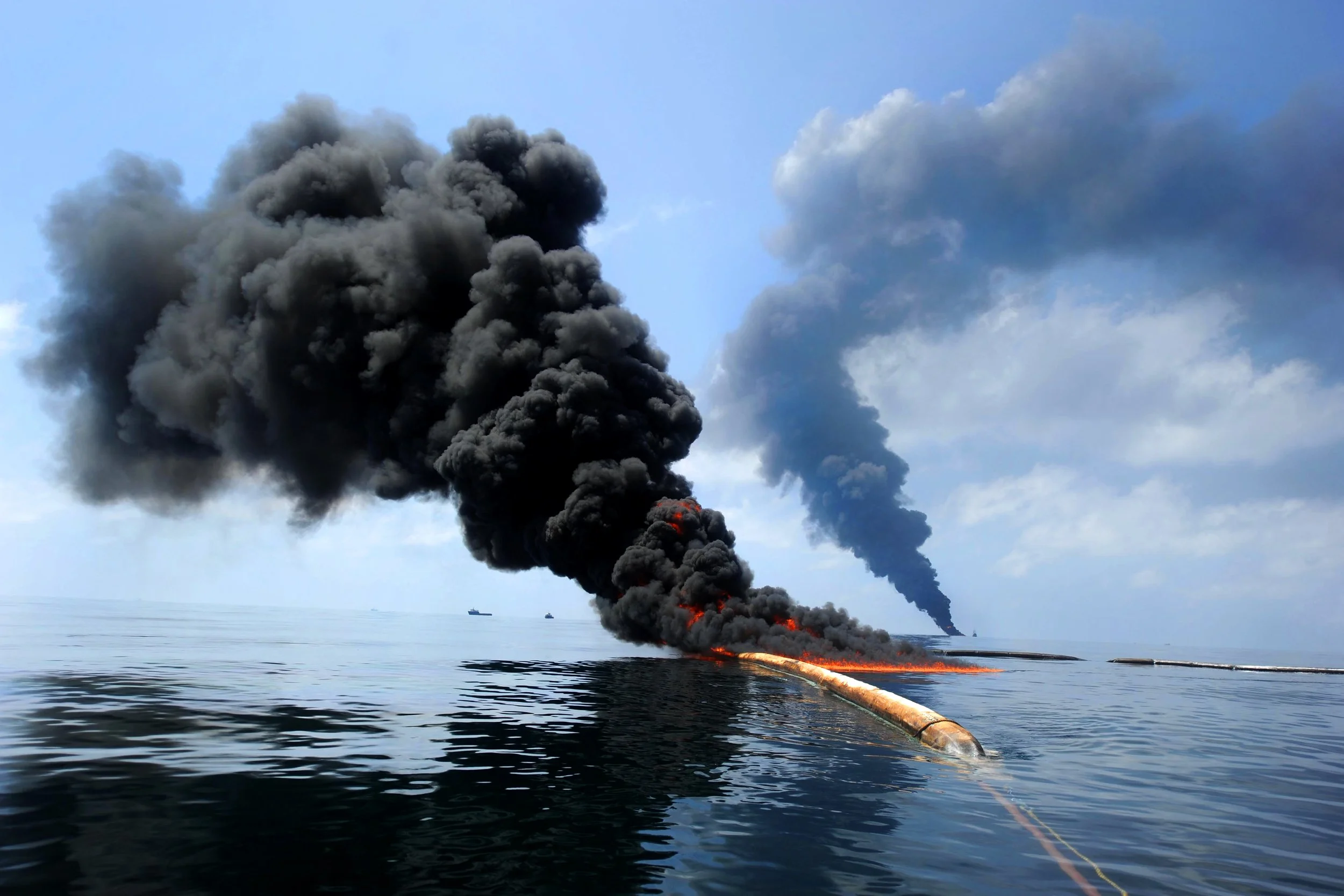 Oil Spill Oysters