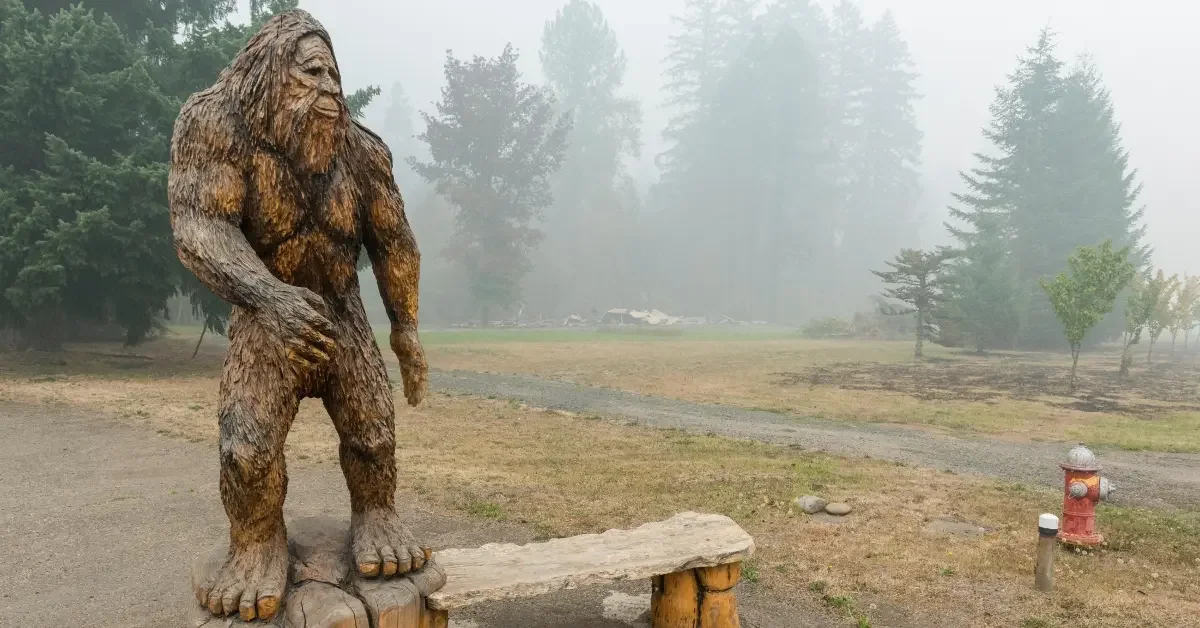 Be a Bigfoot Spotter.