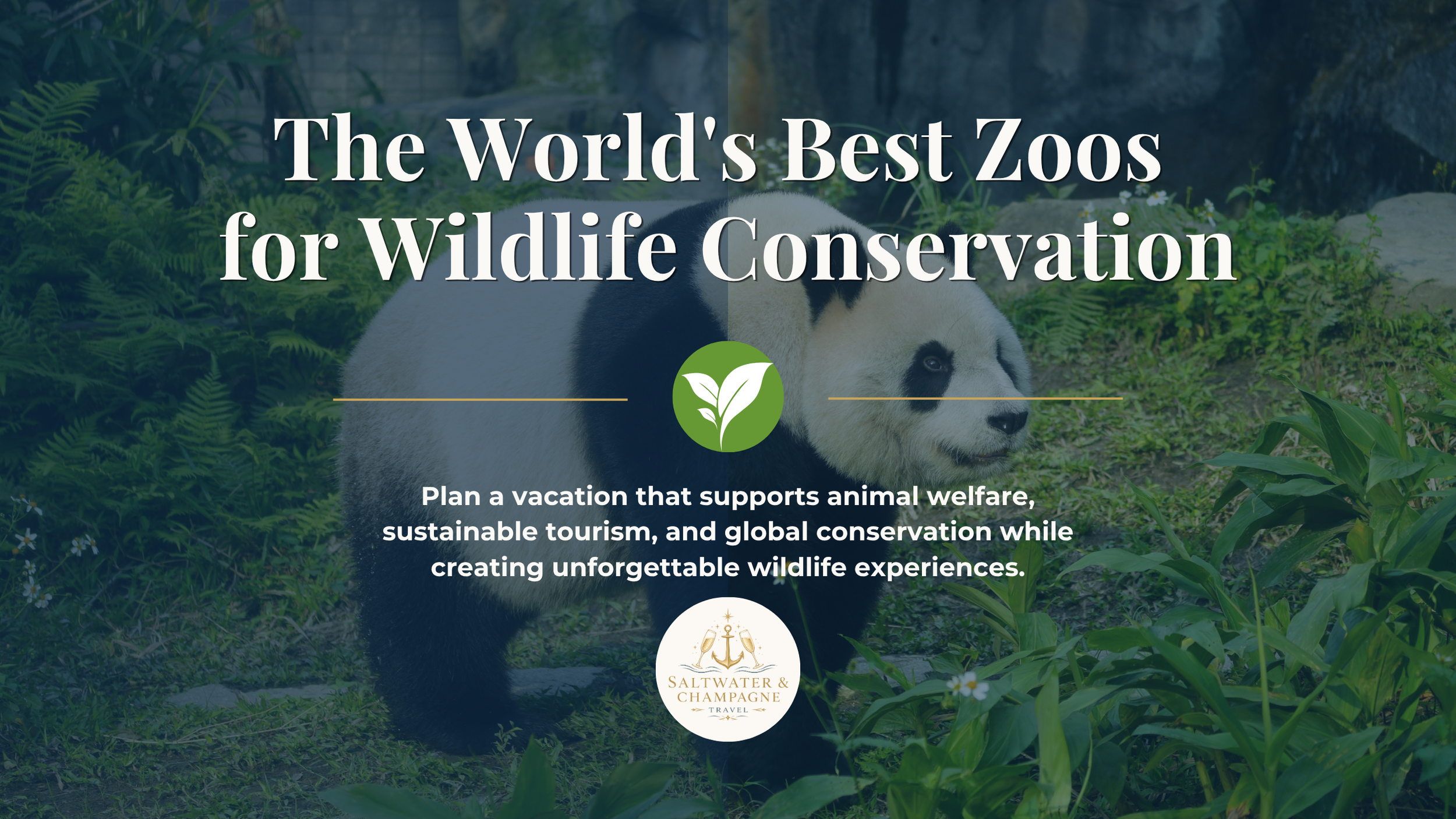 5 Responsible Zoos Worth Traveling For