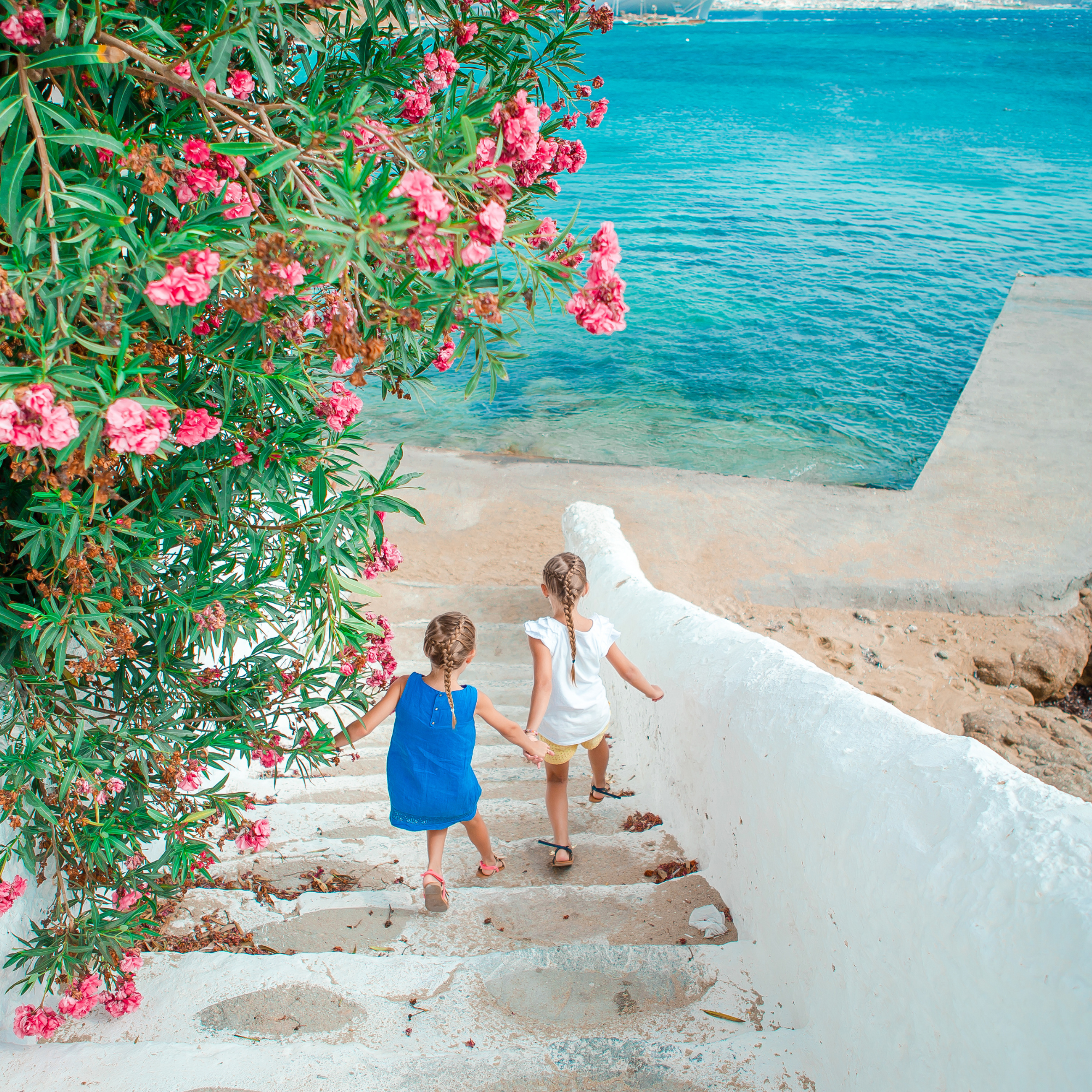 Three children walking down concrete stairs alongside a colorful flower bush by the water.