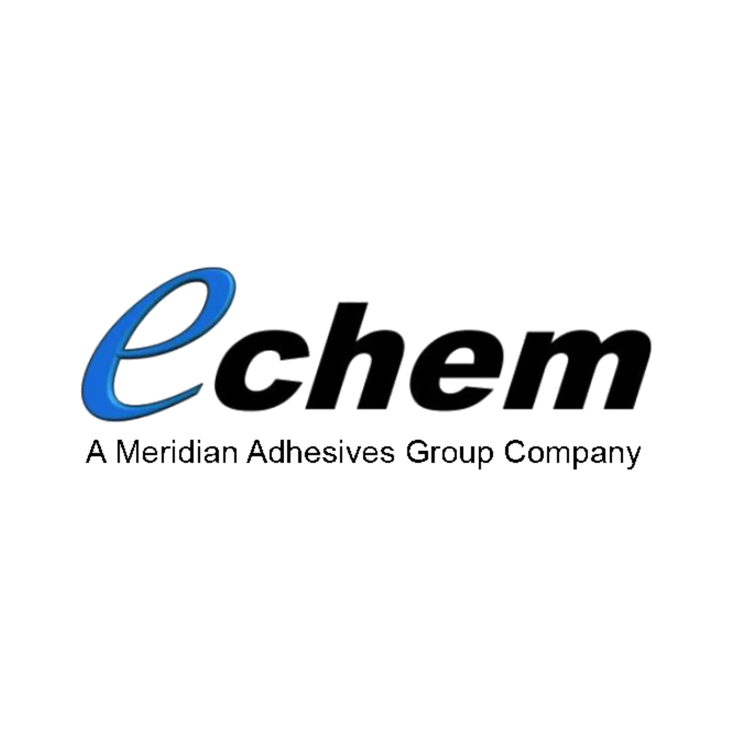 ECHEM logo