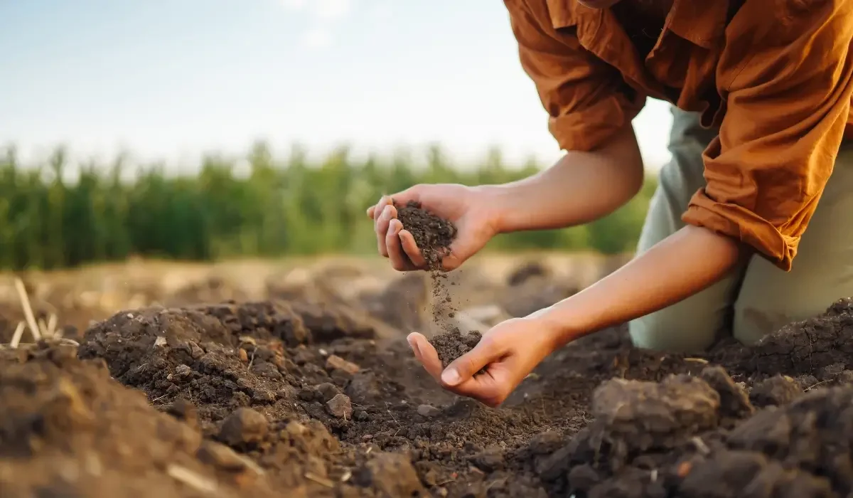 Hands working wet Pacific Northwest soil