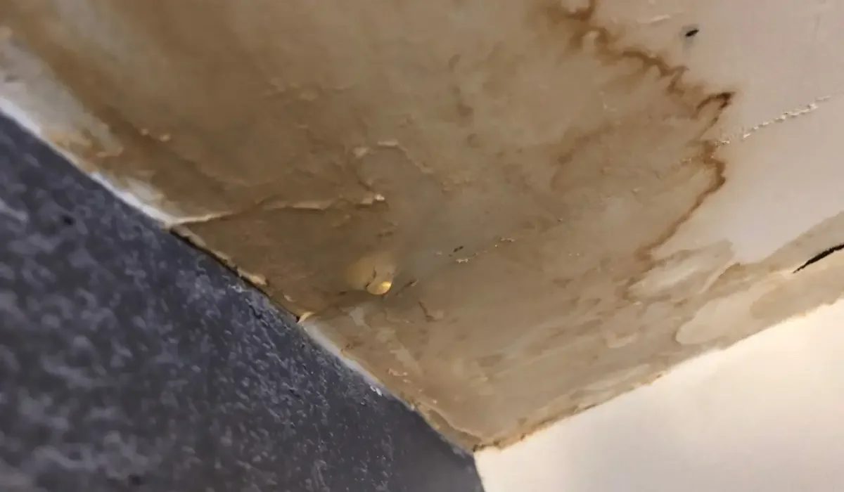 leaking basement wall