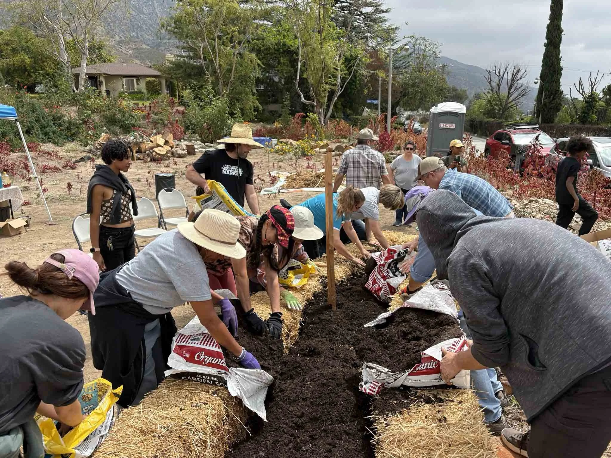 Volunteer Day