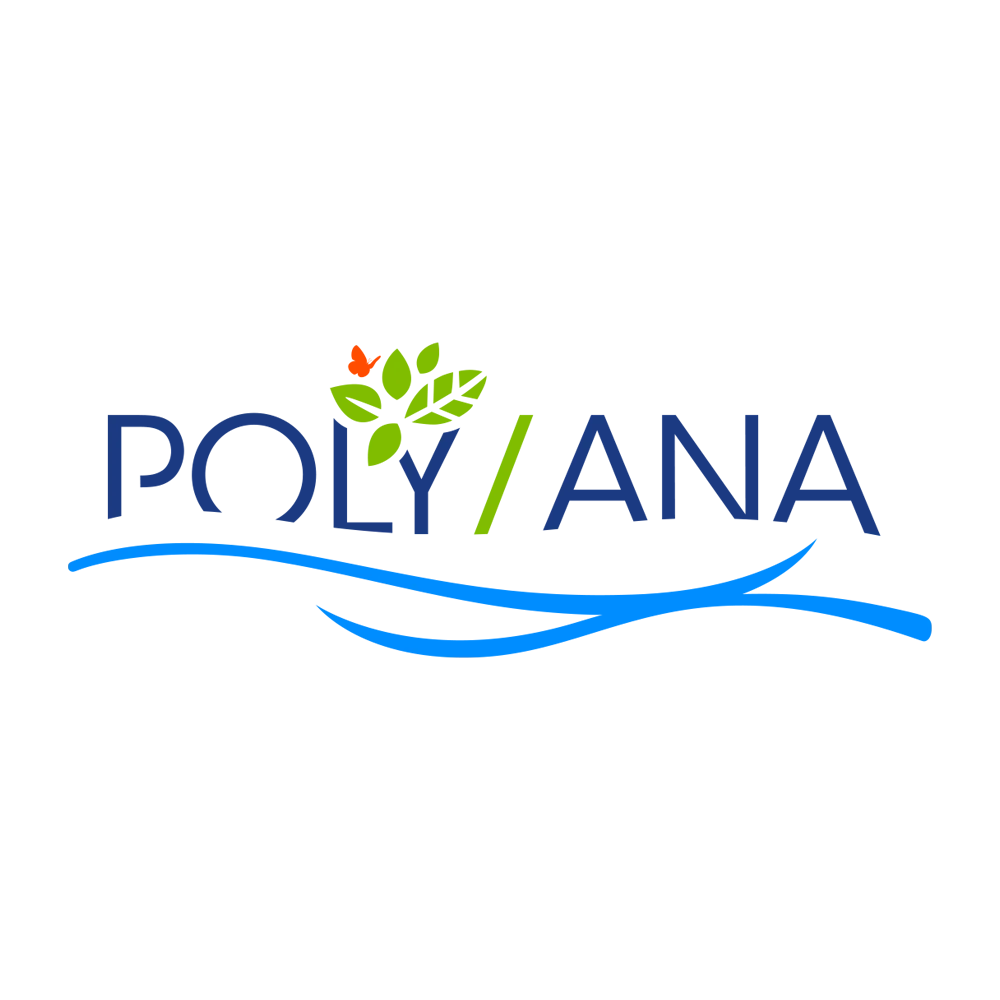 PolyAna logo.webp