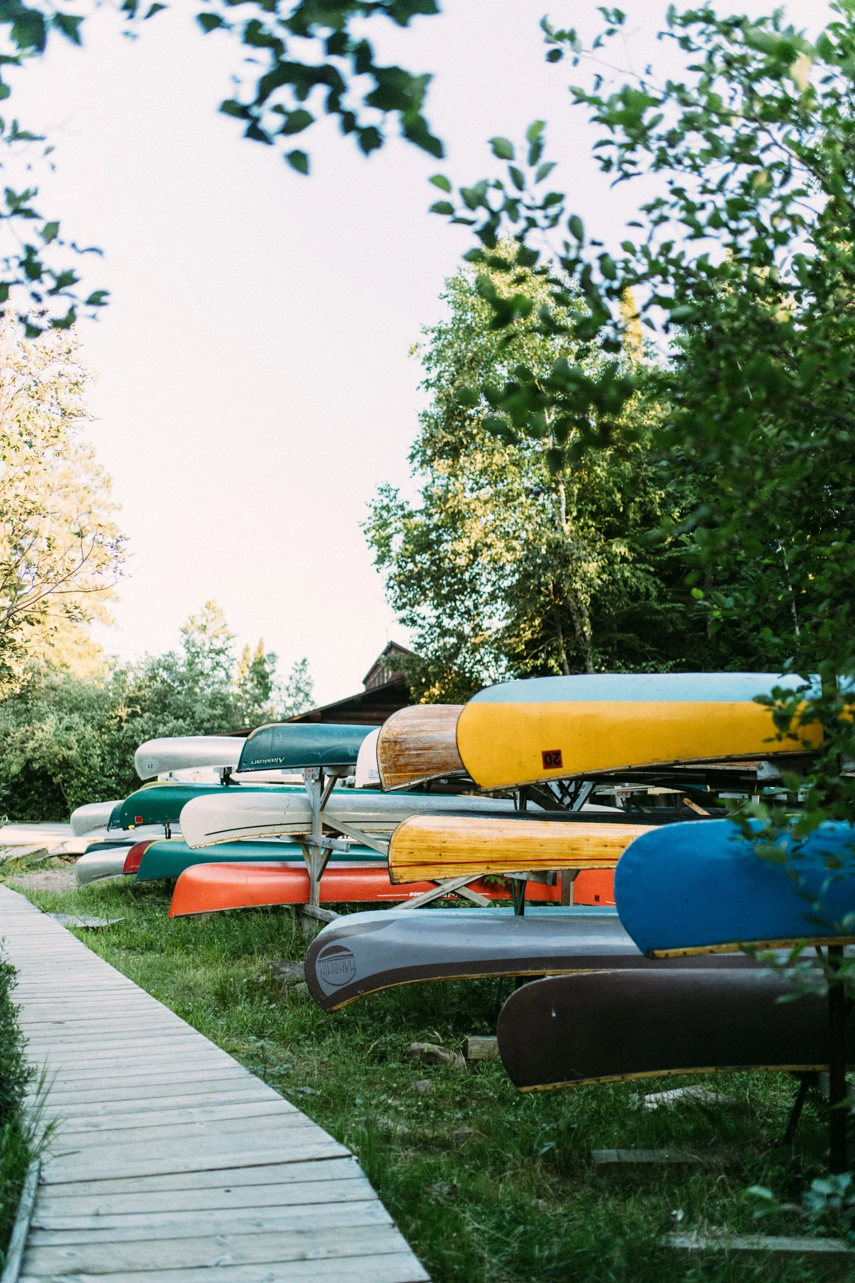 Row of colorful canoes and kayaks stacked on racks on a grassy area beside a wooden walkway, with trees and a house in the background on a clear day.