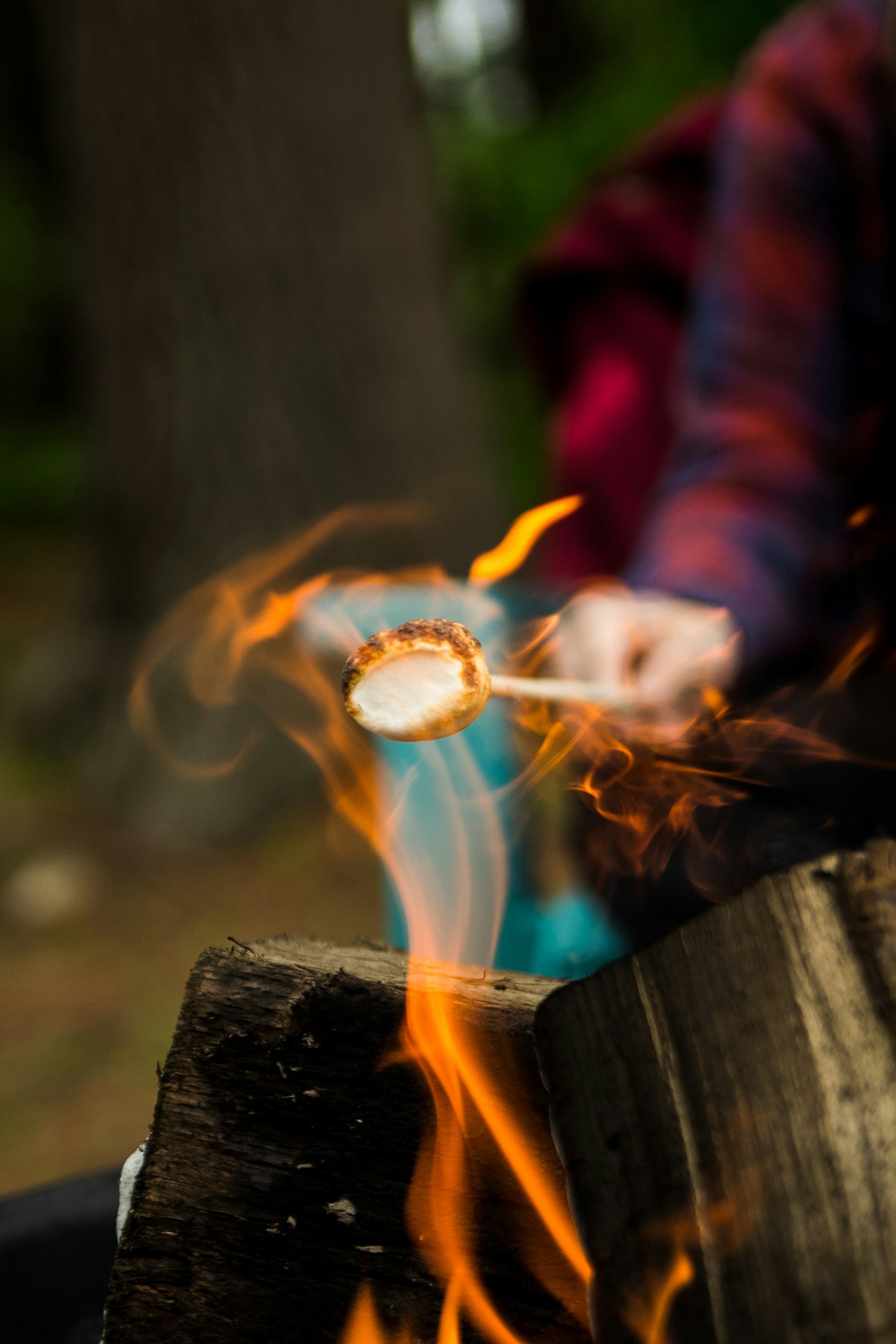 Close-up of an outdoor campfire with flames and burning logs, with a blurred background.