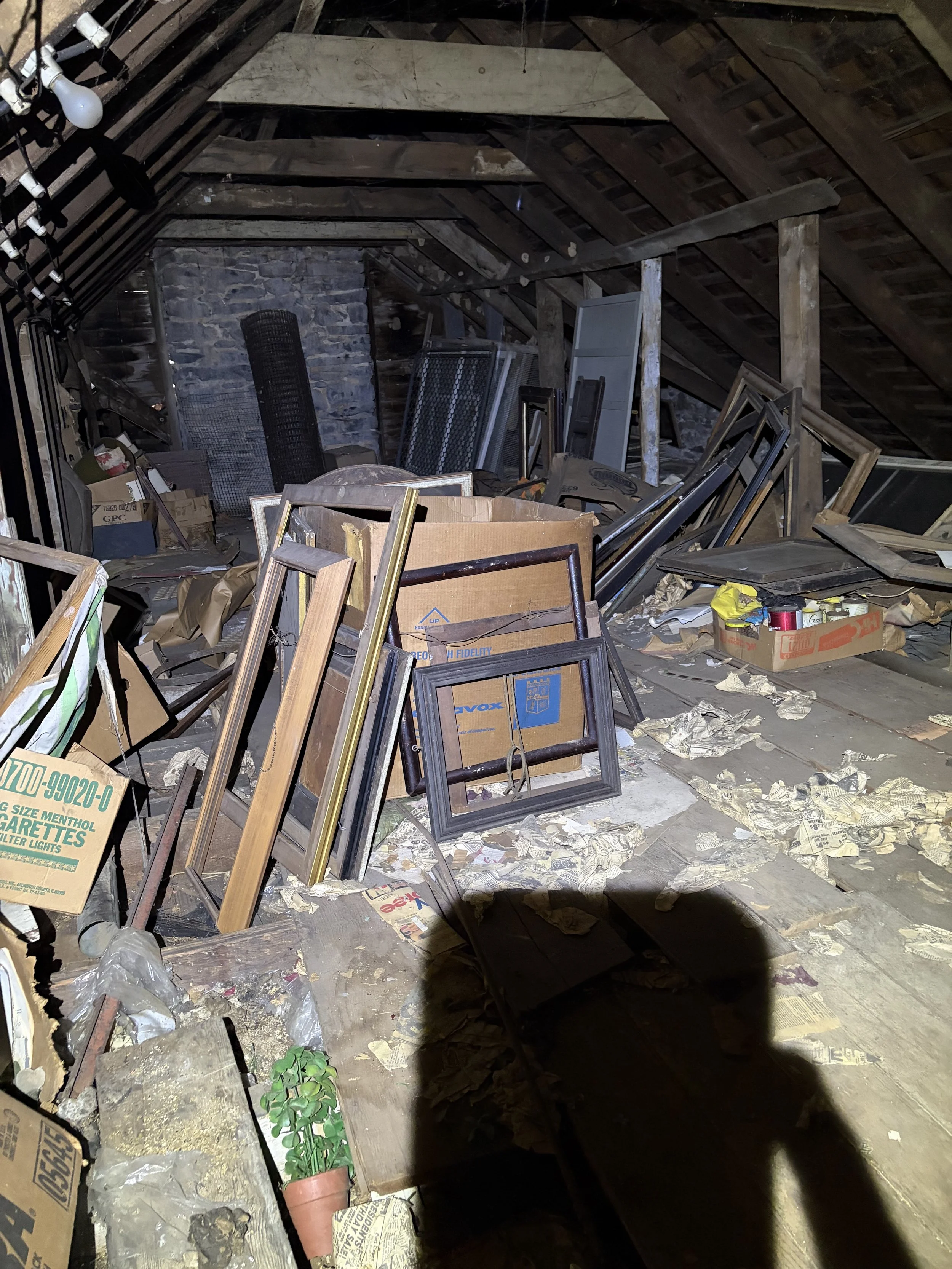 Attic Before 1.jpg