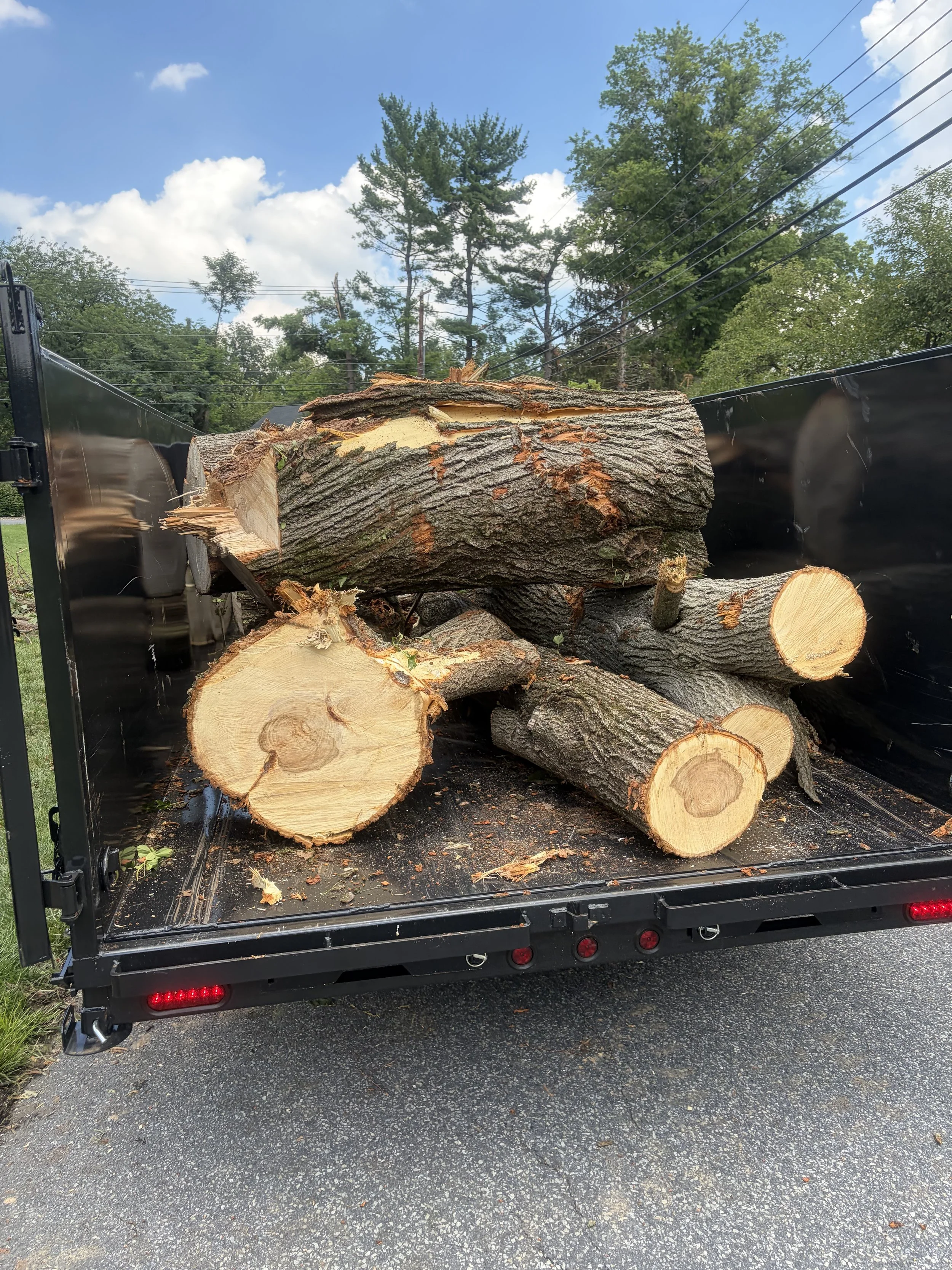 log load 2.jpg