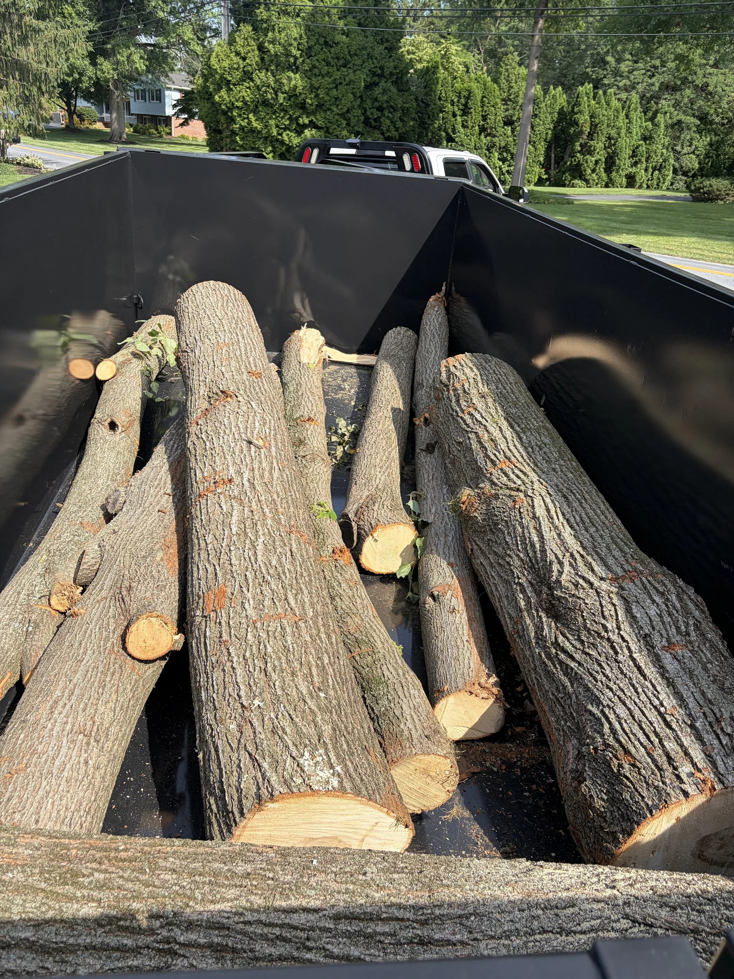Dumpster Log photo.jpg