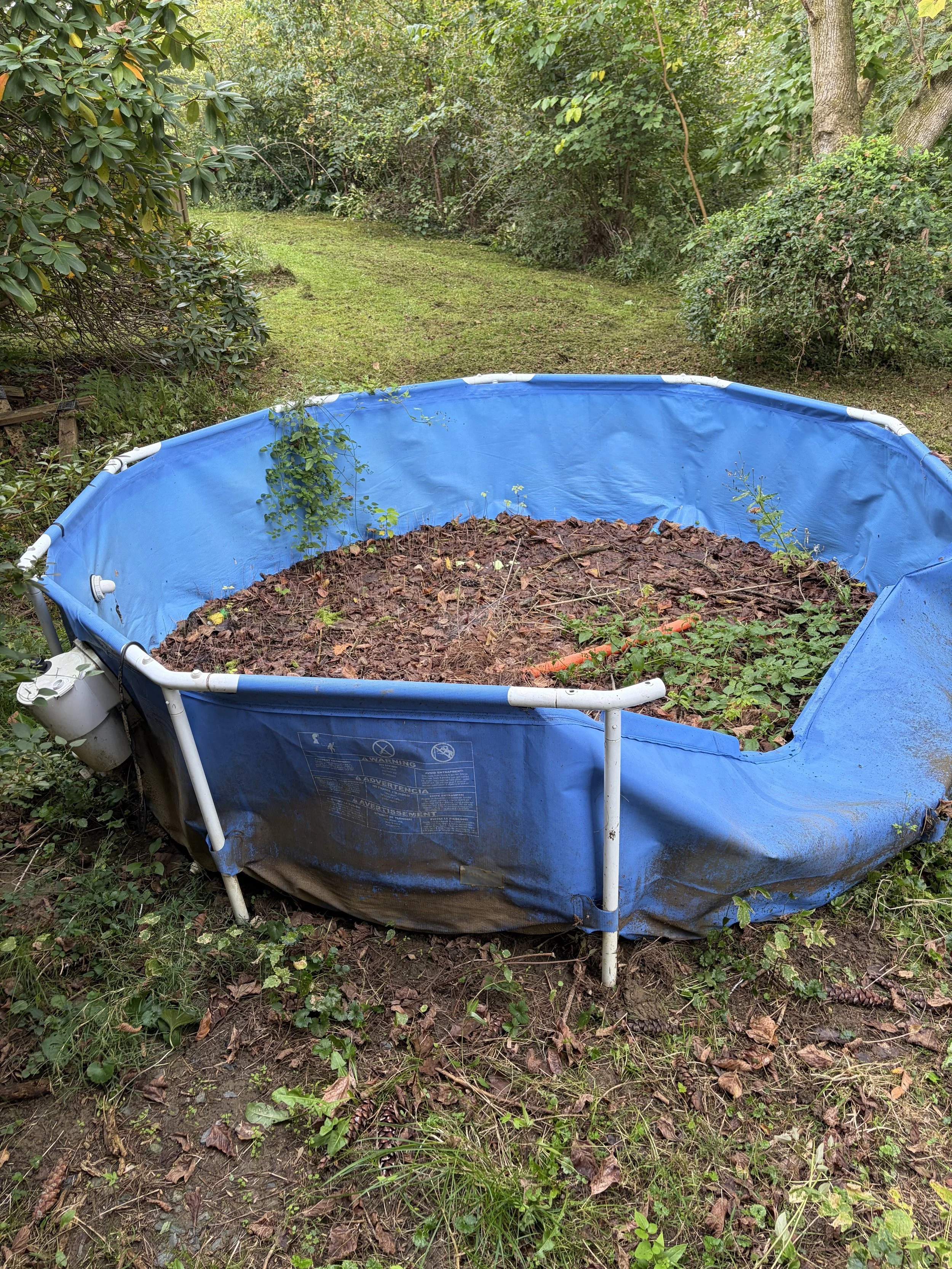 Old Pool Removal Pic.jpg