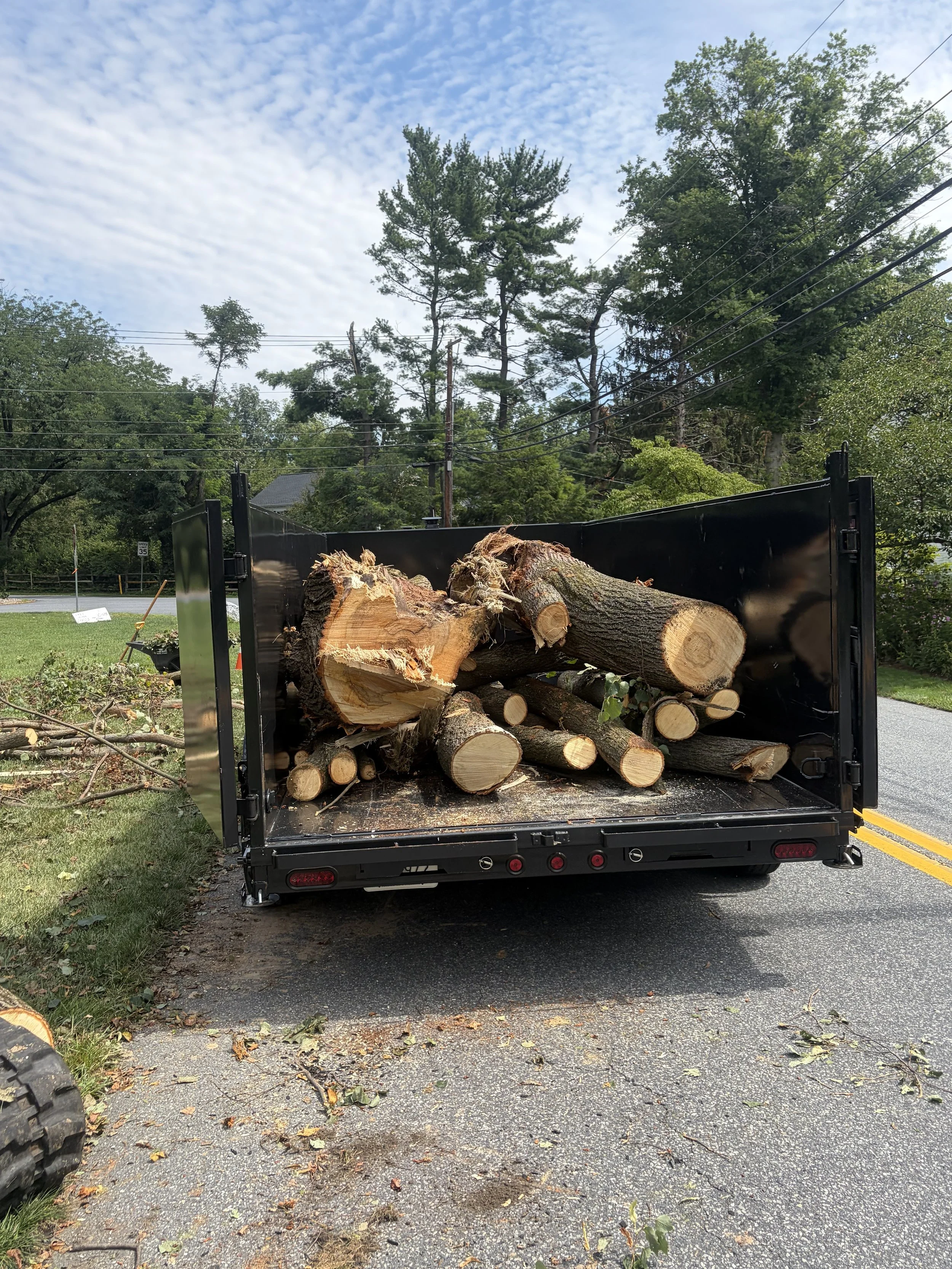 Log load 1.jpg