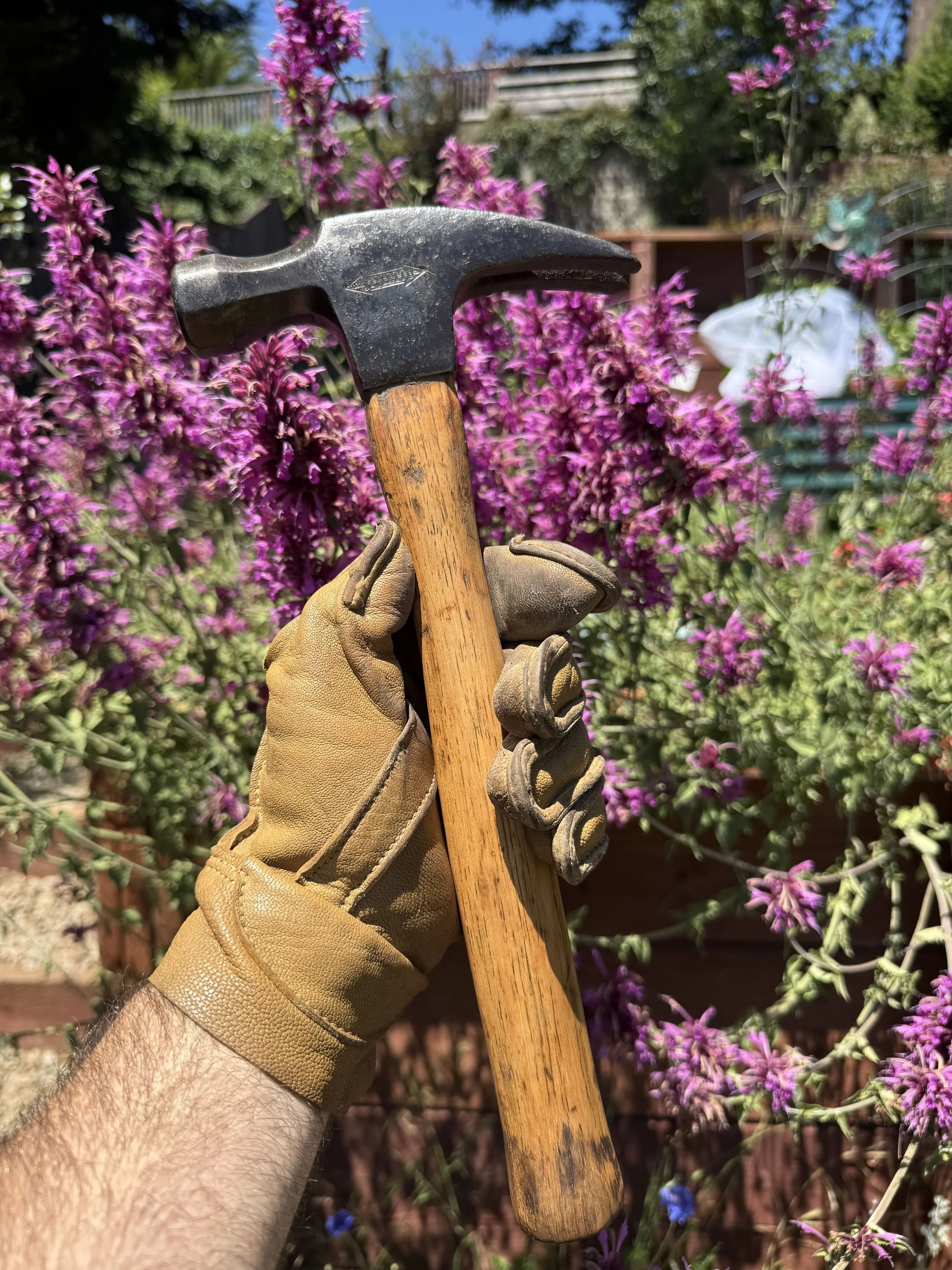 A person wearing a tan gardening glove holding a hammer in front of purple flowering plants in a garden.