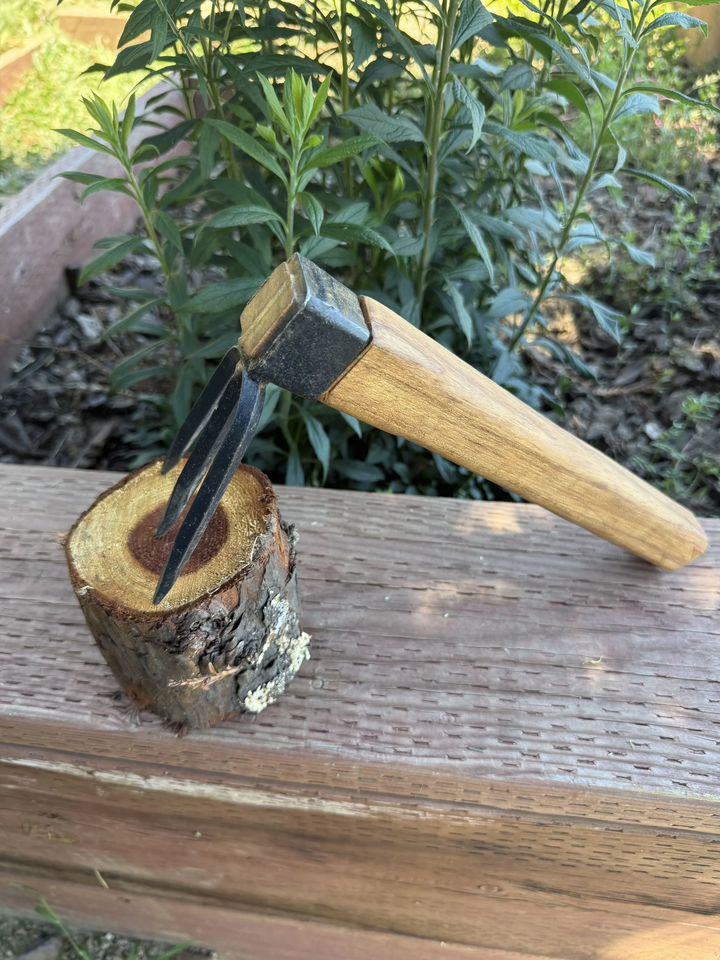 Close-up of a hand rake with a wooden handle and metal prongs, resting on a cut tree branch, in front of a garden with green plants and soil.