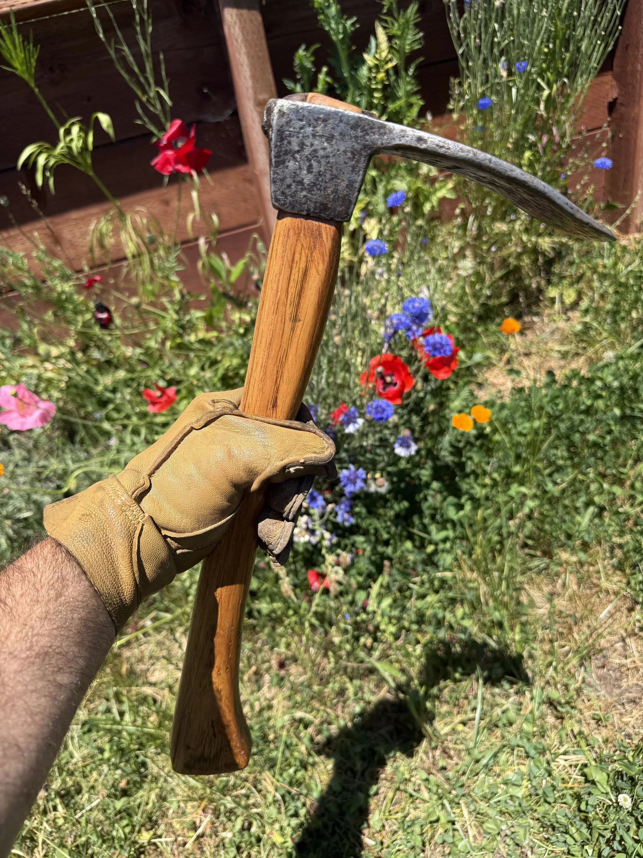 A person wearing a tan work glove holding a gardening adze with a wooden handle, in a garden with colorful flowers and green plants.