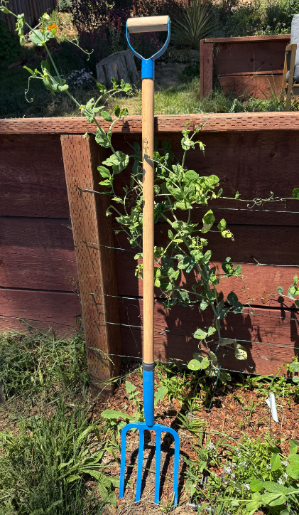 A garden fork with a blue handle and metal prongs leaning against a wooden garden bed. Green vine-like plants are growing around the fork and the garden bed, with some sunlight illuminating the scene.