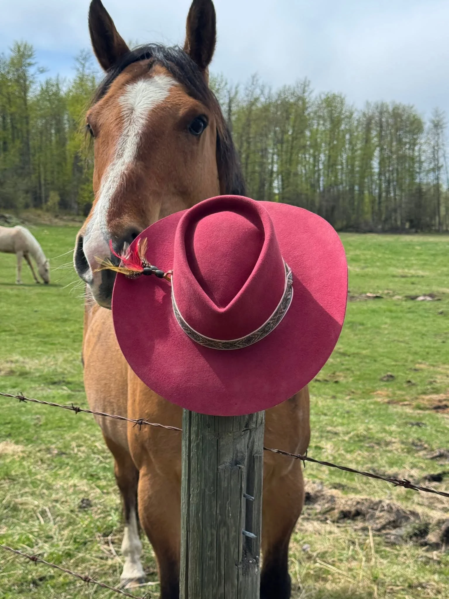 My first commissioned Second Ride Hat.