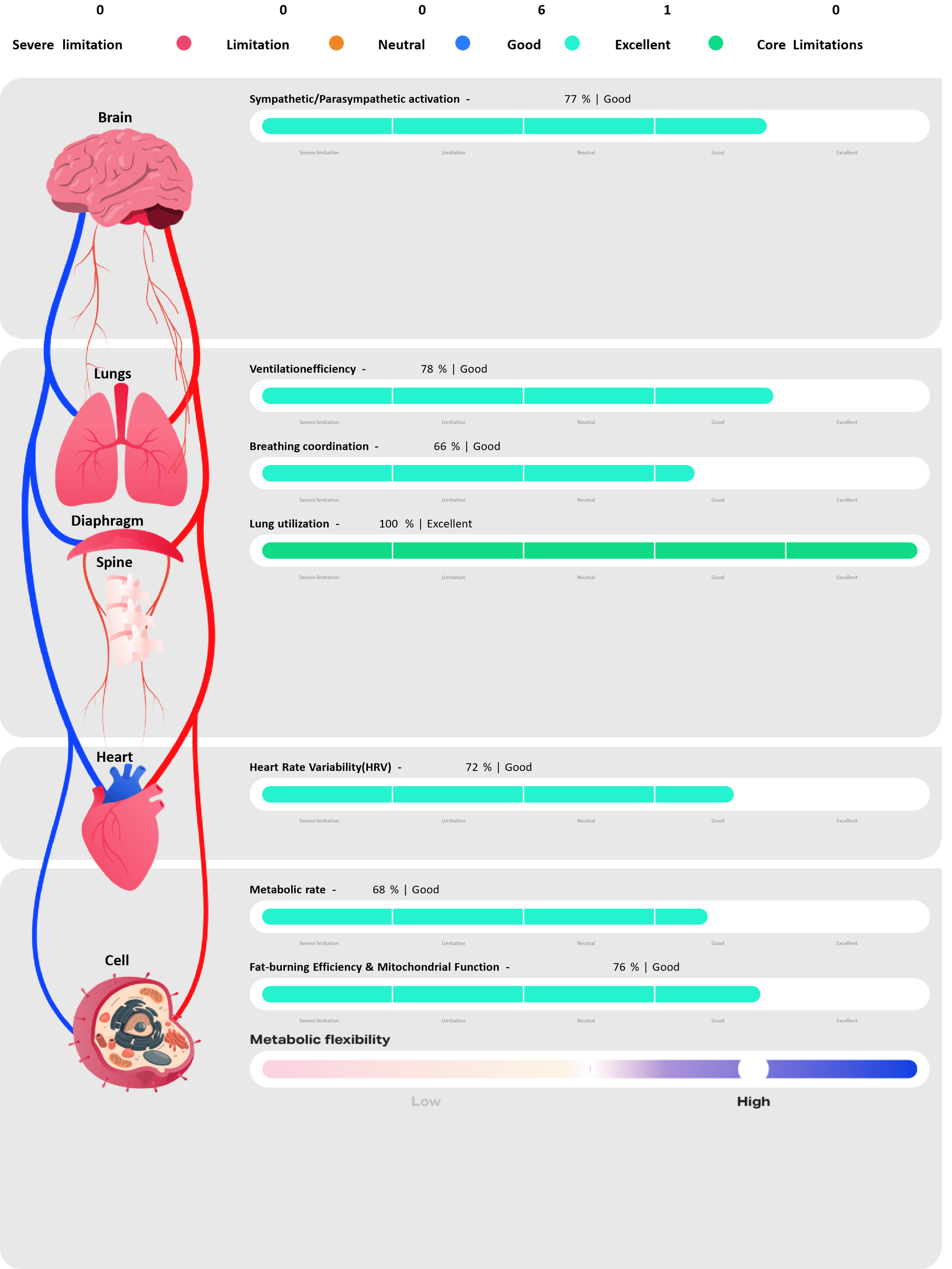 Diagram of human body systems with health metrics, including brain, lungs, diaphragm, spine, heart, cells, labels, and bars indicating performance levels.