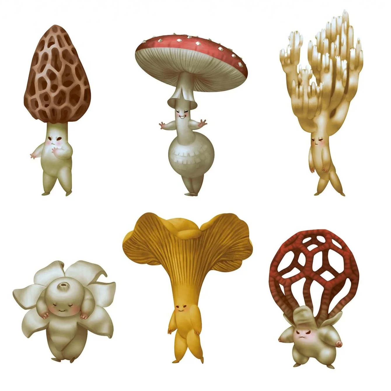 SHRUMANS INTERVIEW: PRAIRIE STATES MUSHROOM CLUB