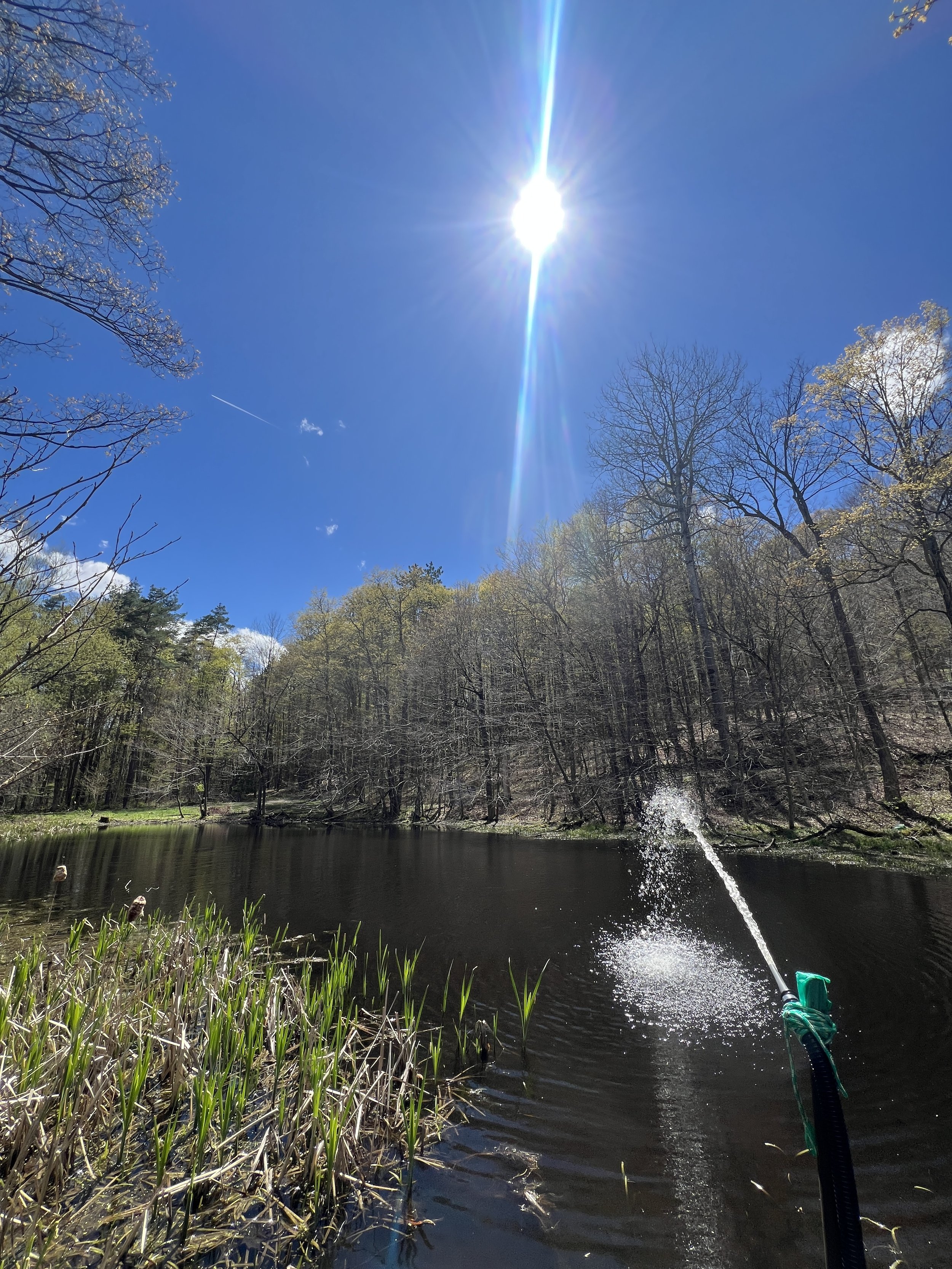 a calm river or pond surrounded by trees, with a clear blue sky and the sun shining brightly overhead, and a water spray from the fishing rod.