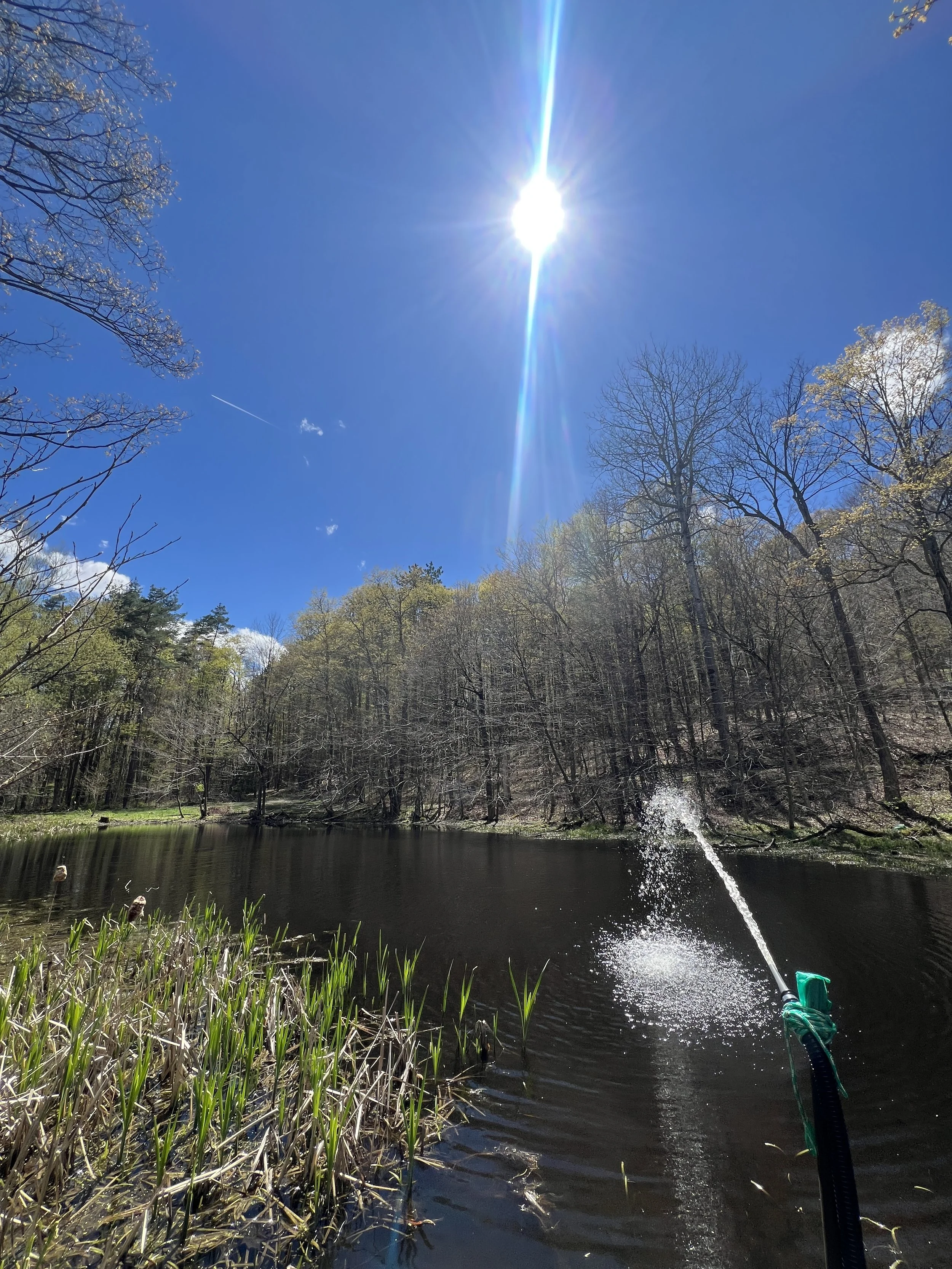 A river or pond with green grass and trees along the bank, a fountain creating splash, and a fishing line cast into the water. The sky is clear with a bright sun shining, and lens flare is visible.