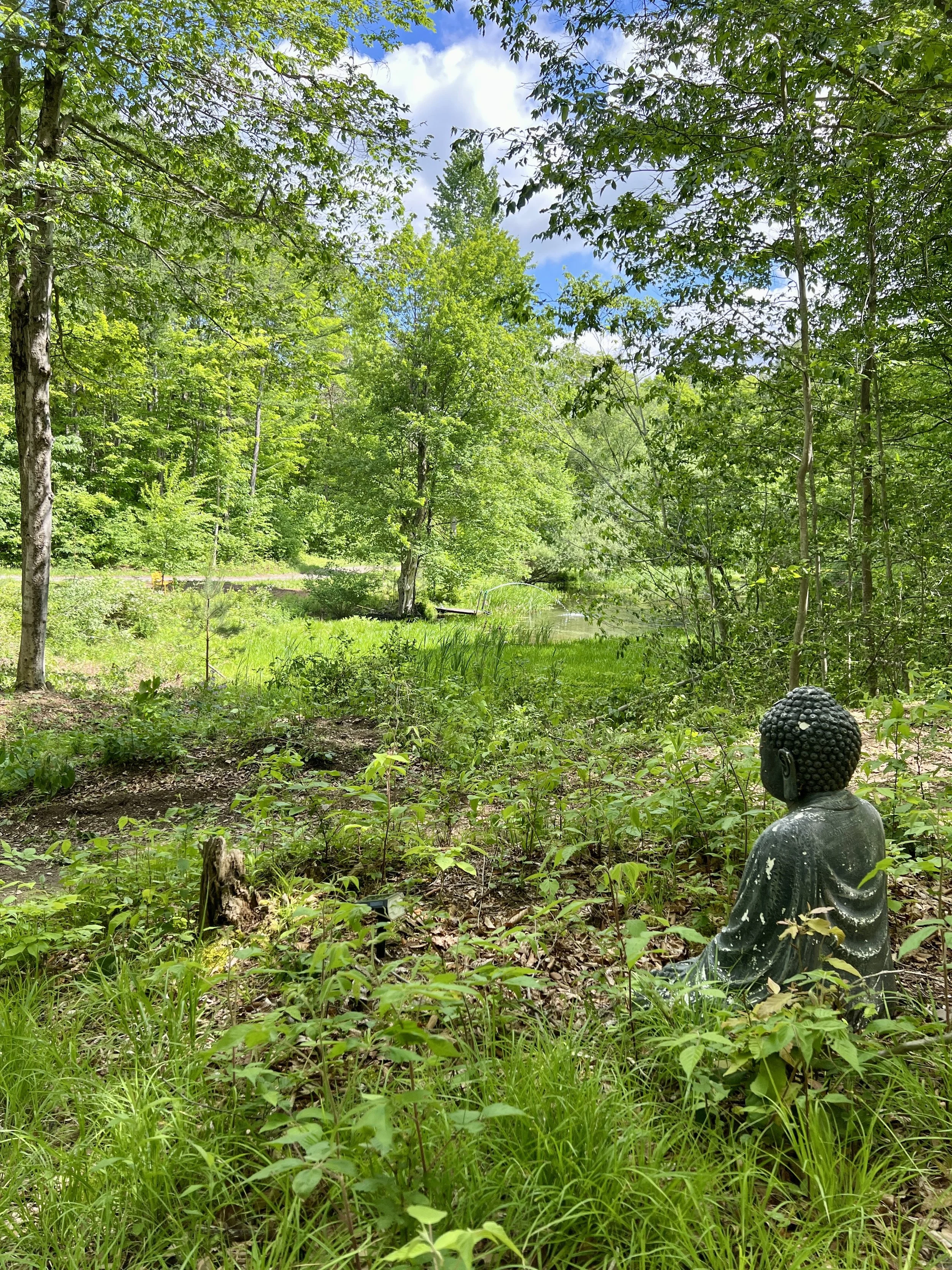 A statue of Buddha sits outdoors among green plants and trees with a pond in the background, under a partly cloudy sky.