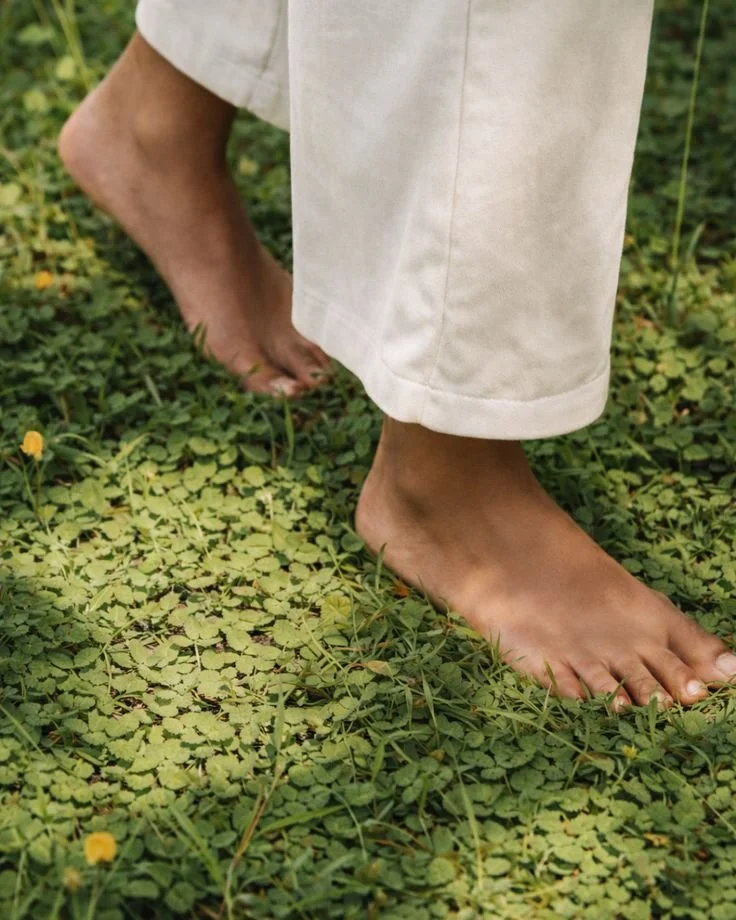 Barefoot person standing on green ground cover with small yellow flowers, wearing light-colored pants.