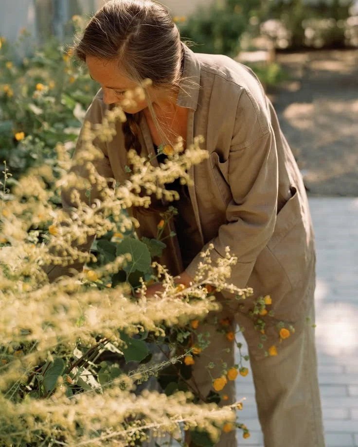 A woman in beige clothing tending to flowering plants outdoors on a sunny day.