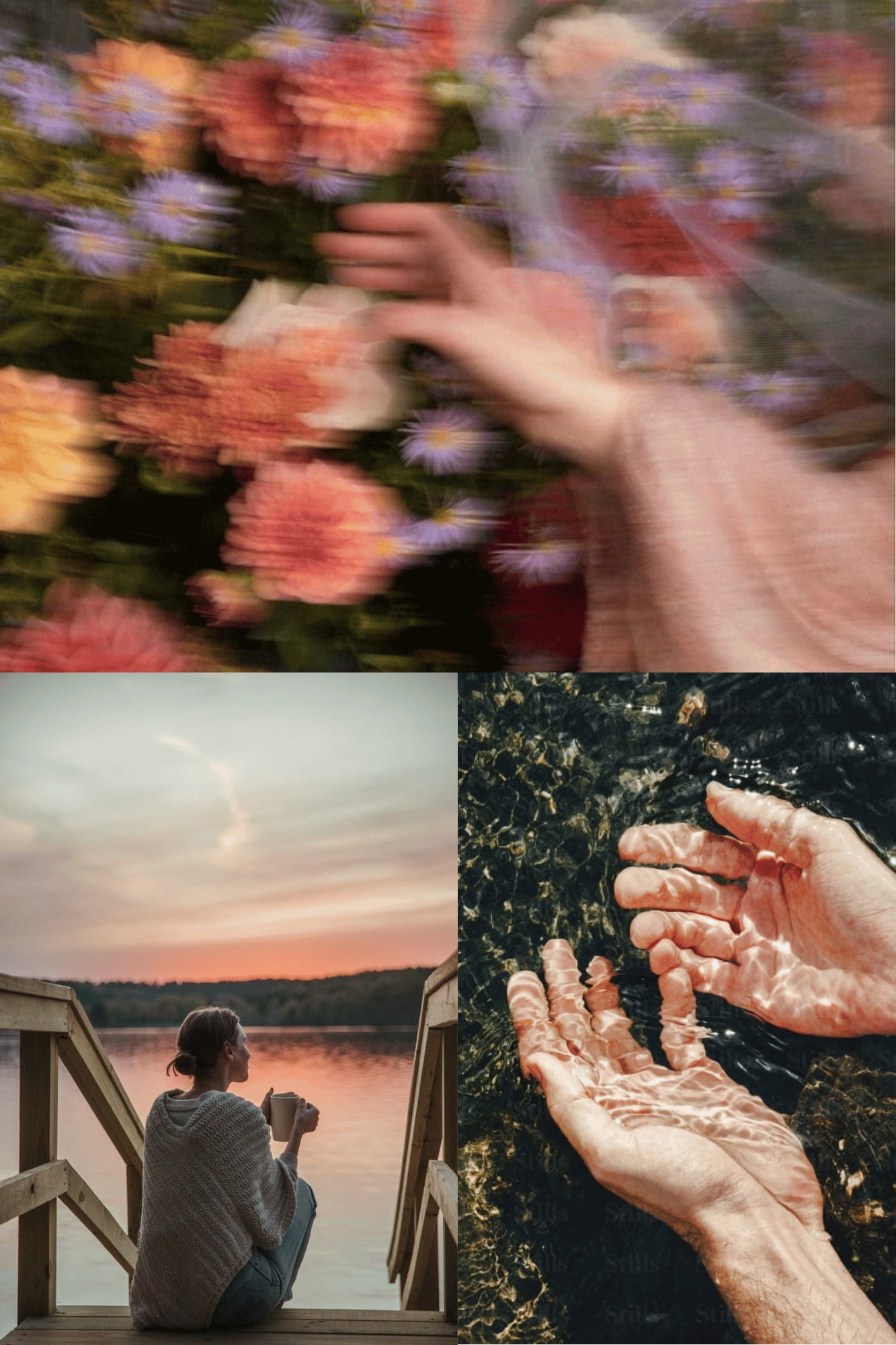 A woman sitting on a wooden dock by a lake at sunset, holding a cup, with a woman admiring the sunset. The top right shows hands submerged in water, touching rocks. The top left depicts a blurred image of colorful flowers with a hand reaching through them.