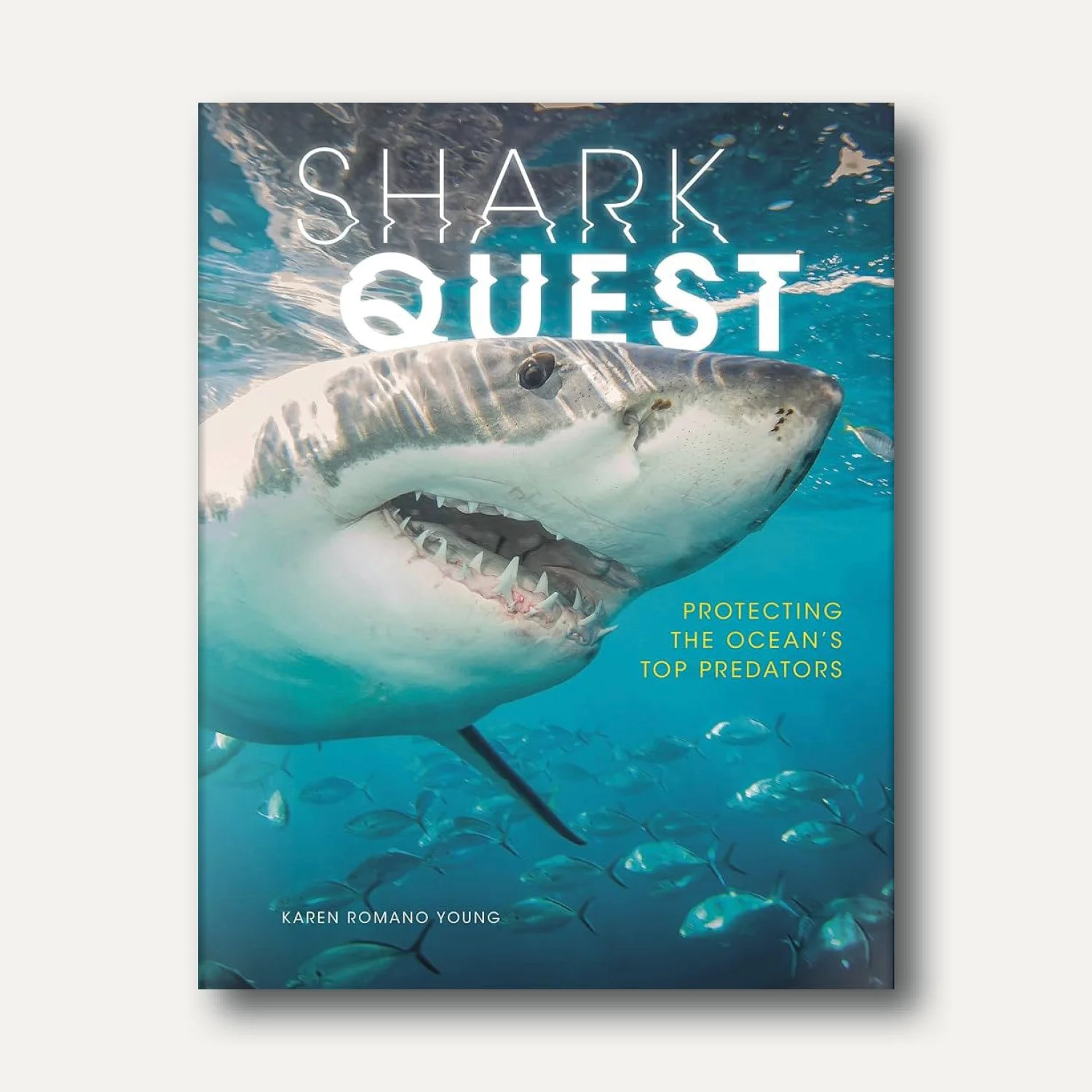 SharkQuest.jpg