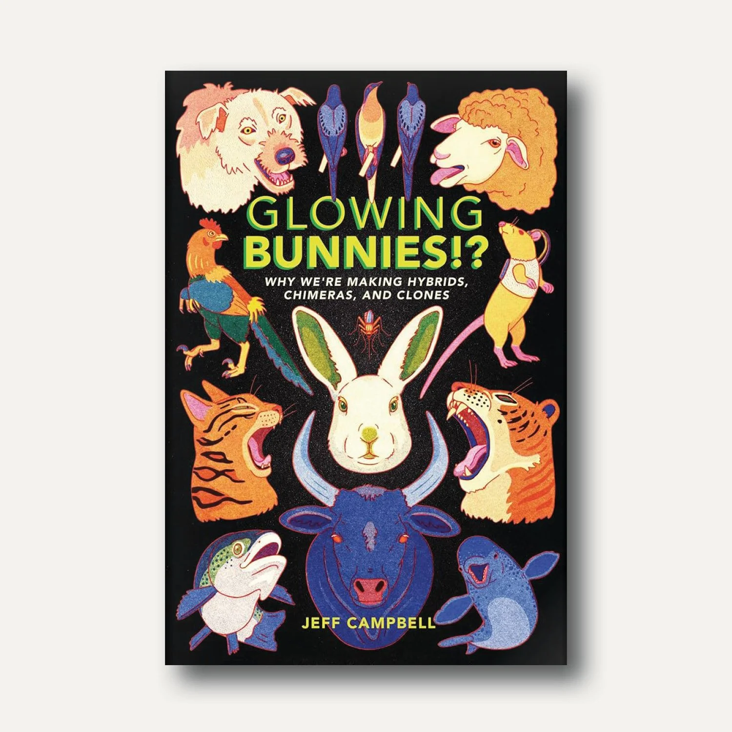 GlowingBunnies.jpg