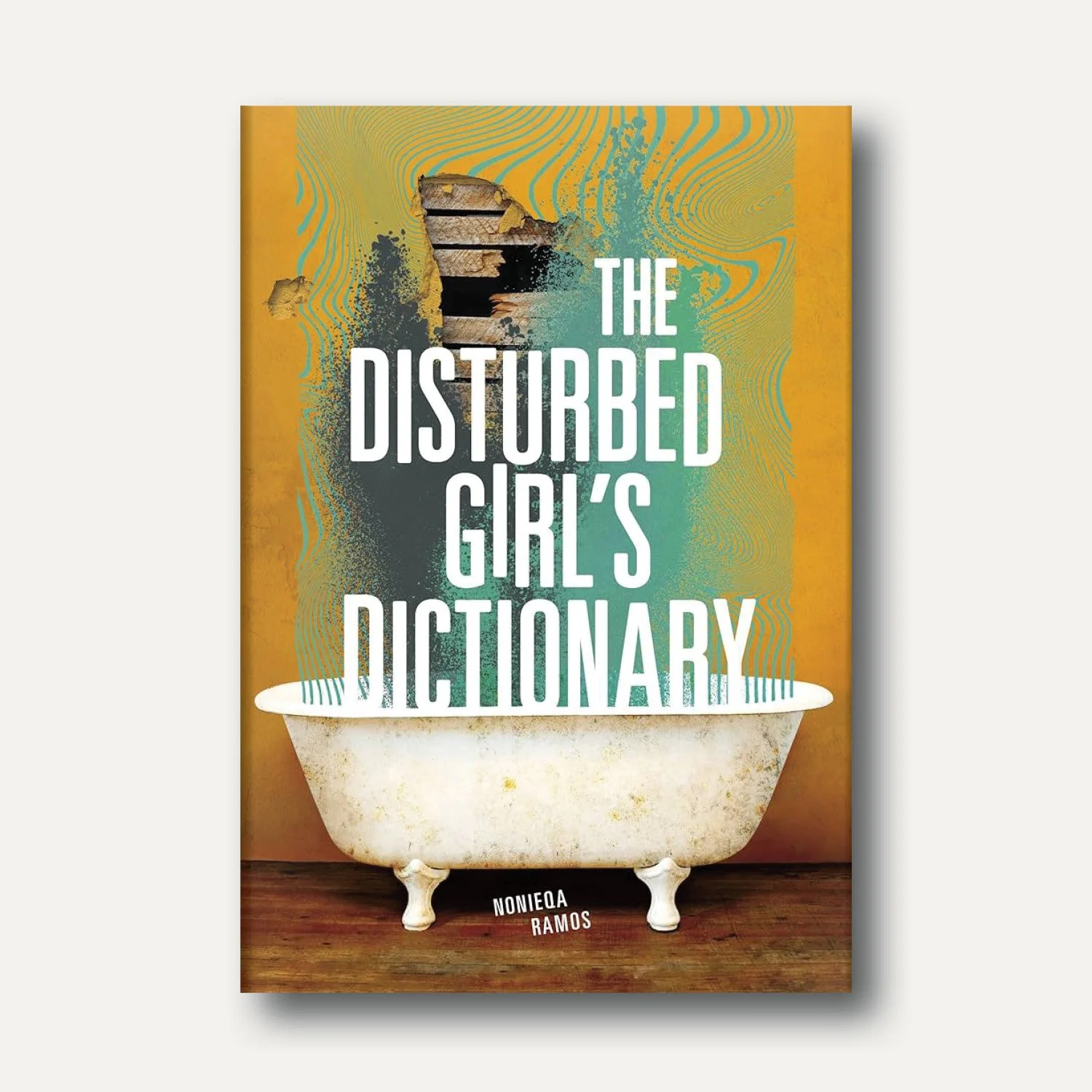 DisturbedGirlsDictionary.jpg