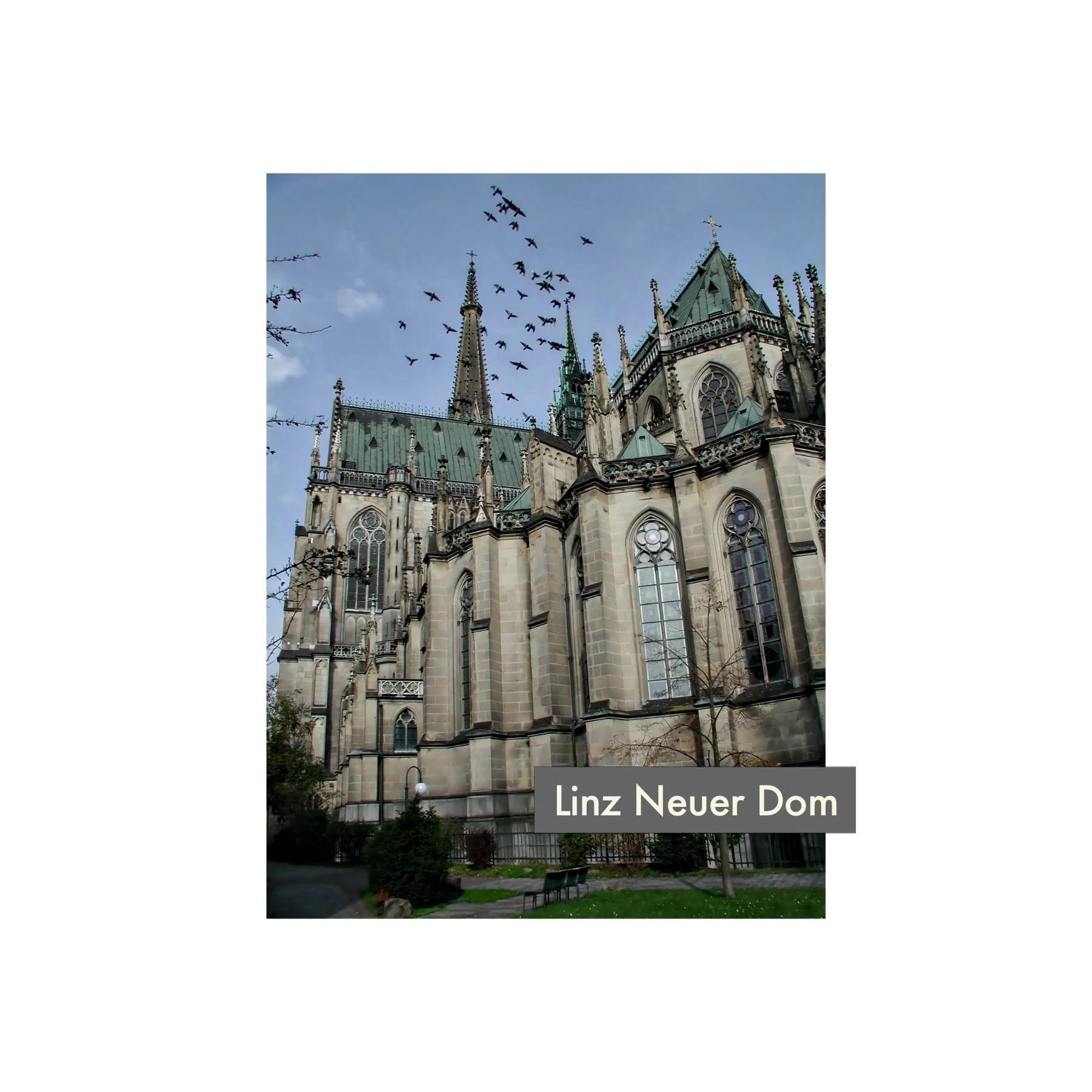 Linz Neuer Dom BLOCK.jpg