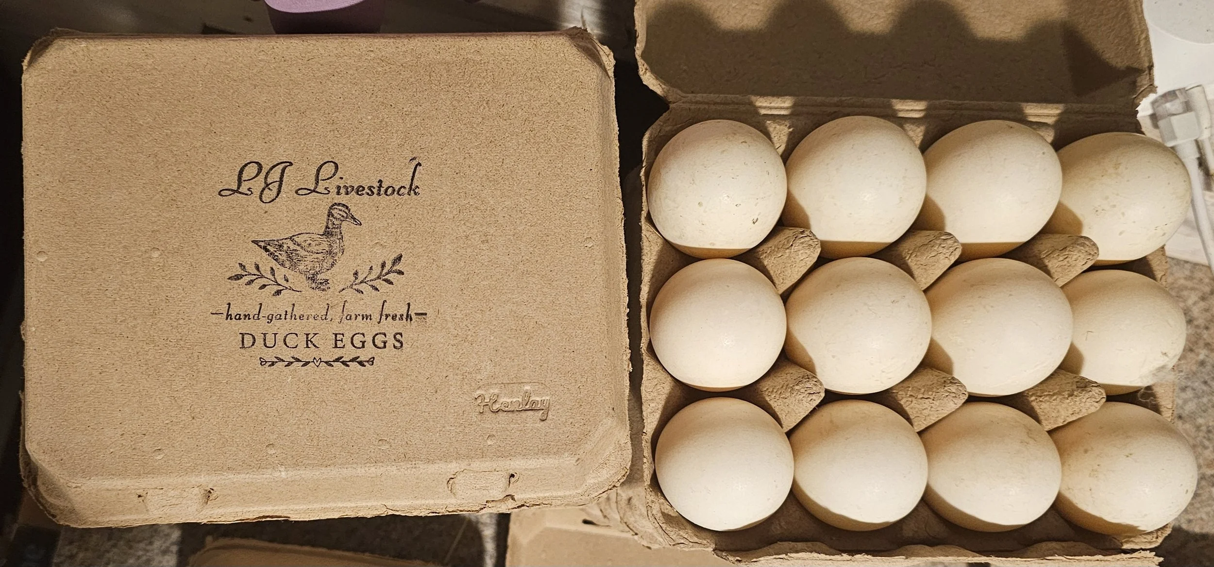 Duck Eggs