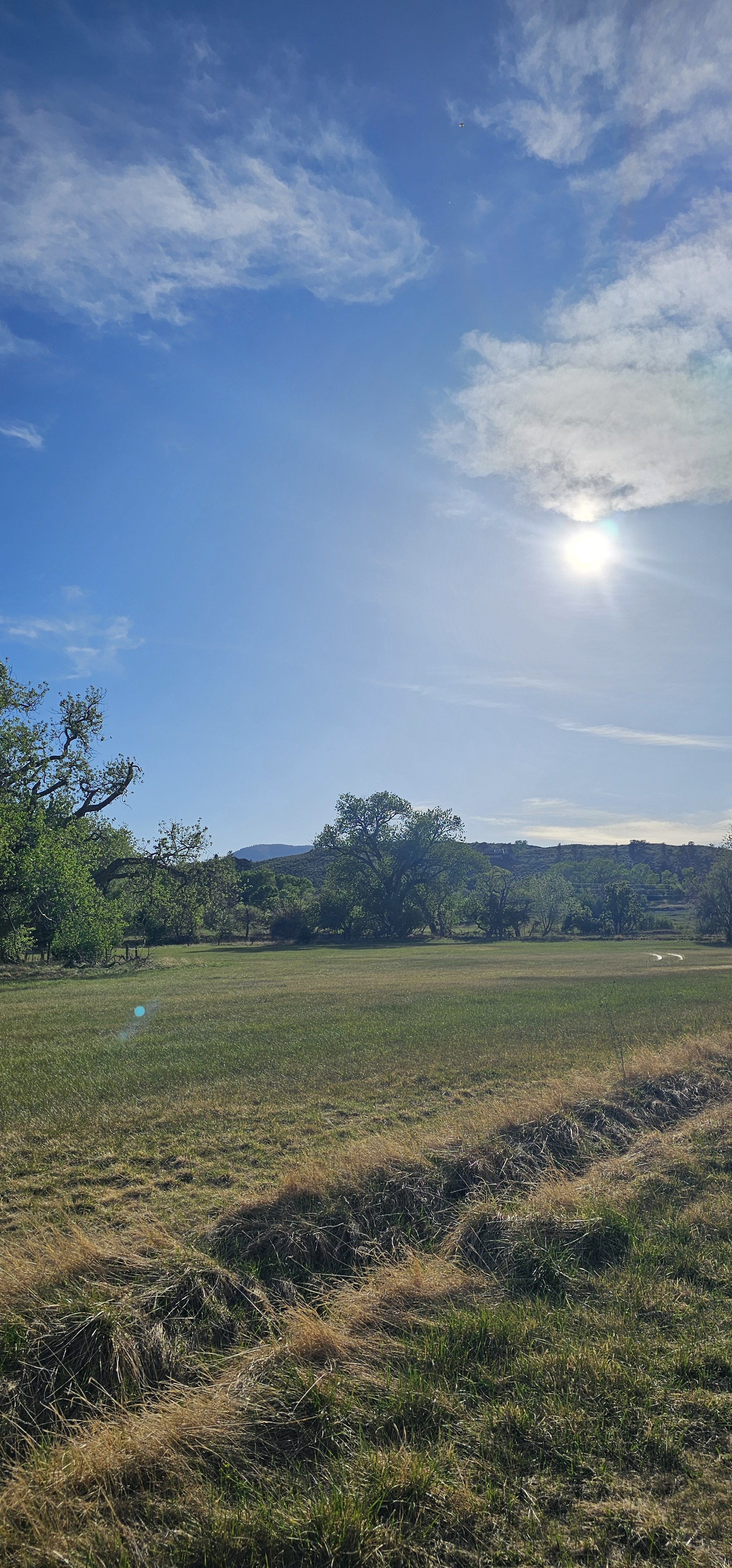 A sunny day over an open grassy field with trees and hills in the background.