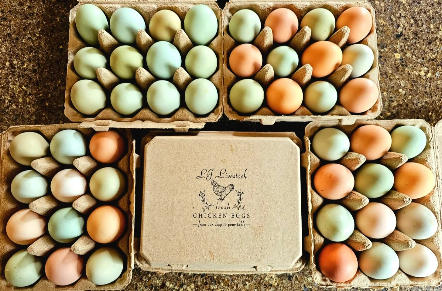 Chicken Eggs