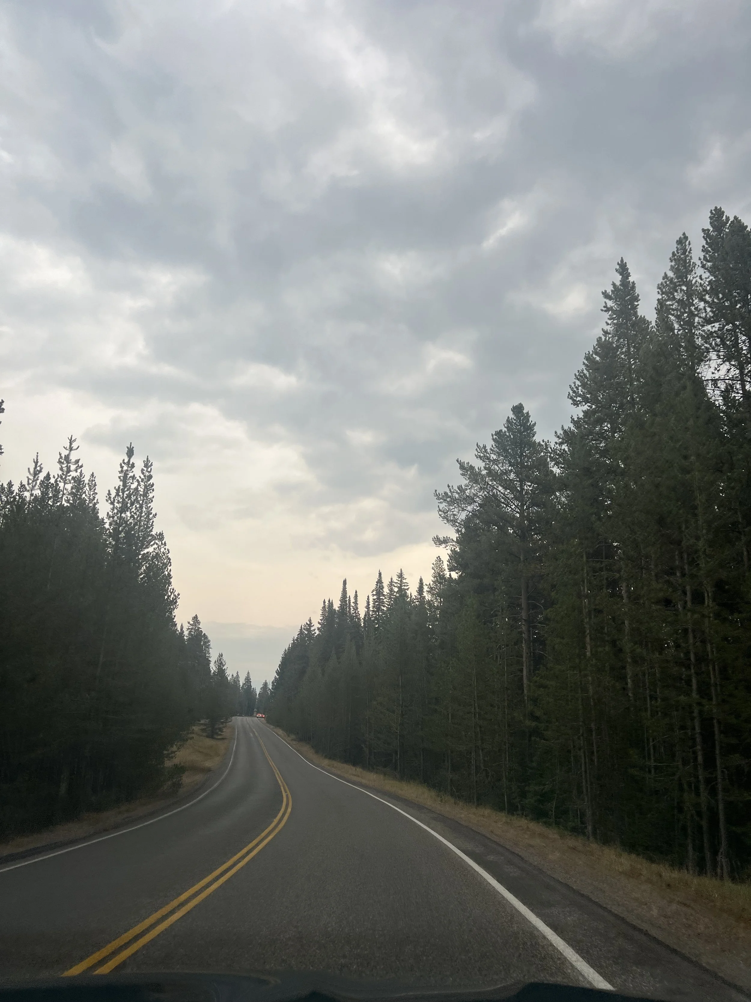 A winding two-lane road through a dense forest with tall pine trees on both sides, under a cloudy sky.